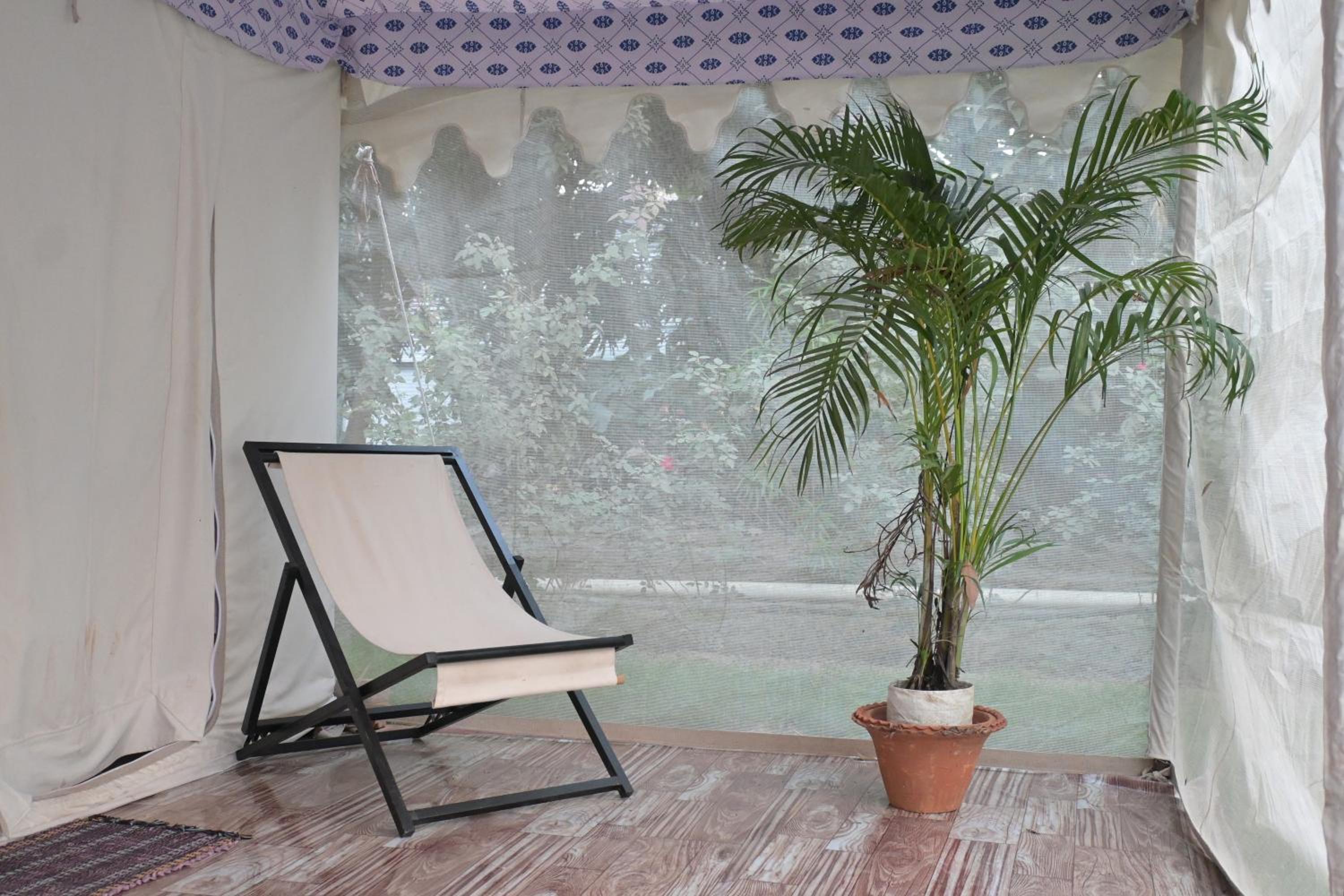 Executive Suite photo 2