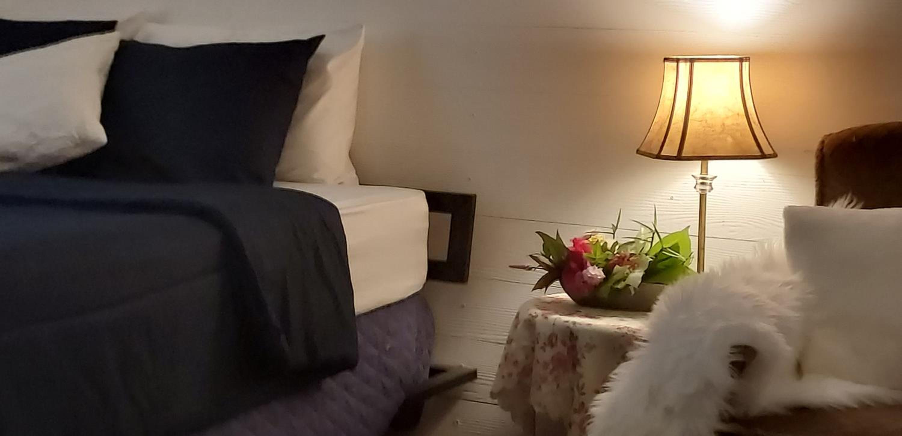 Deluxe Family Suite photo 1