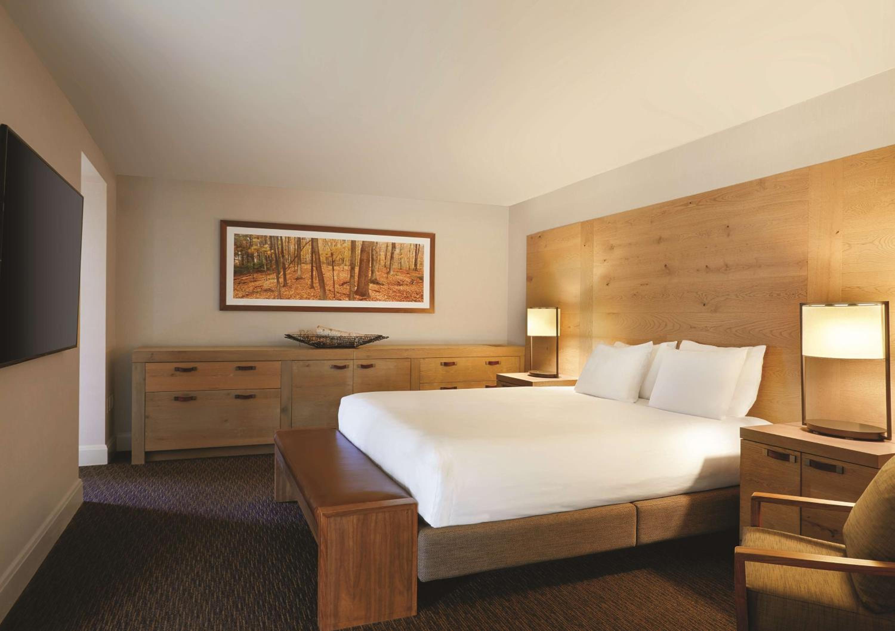 One-Bedroom Suite - Photo 1