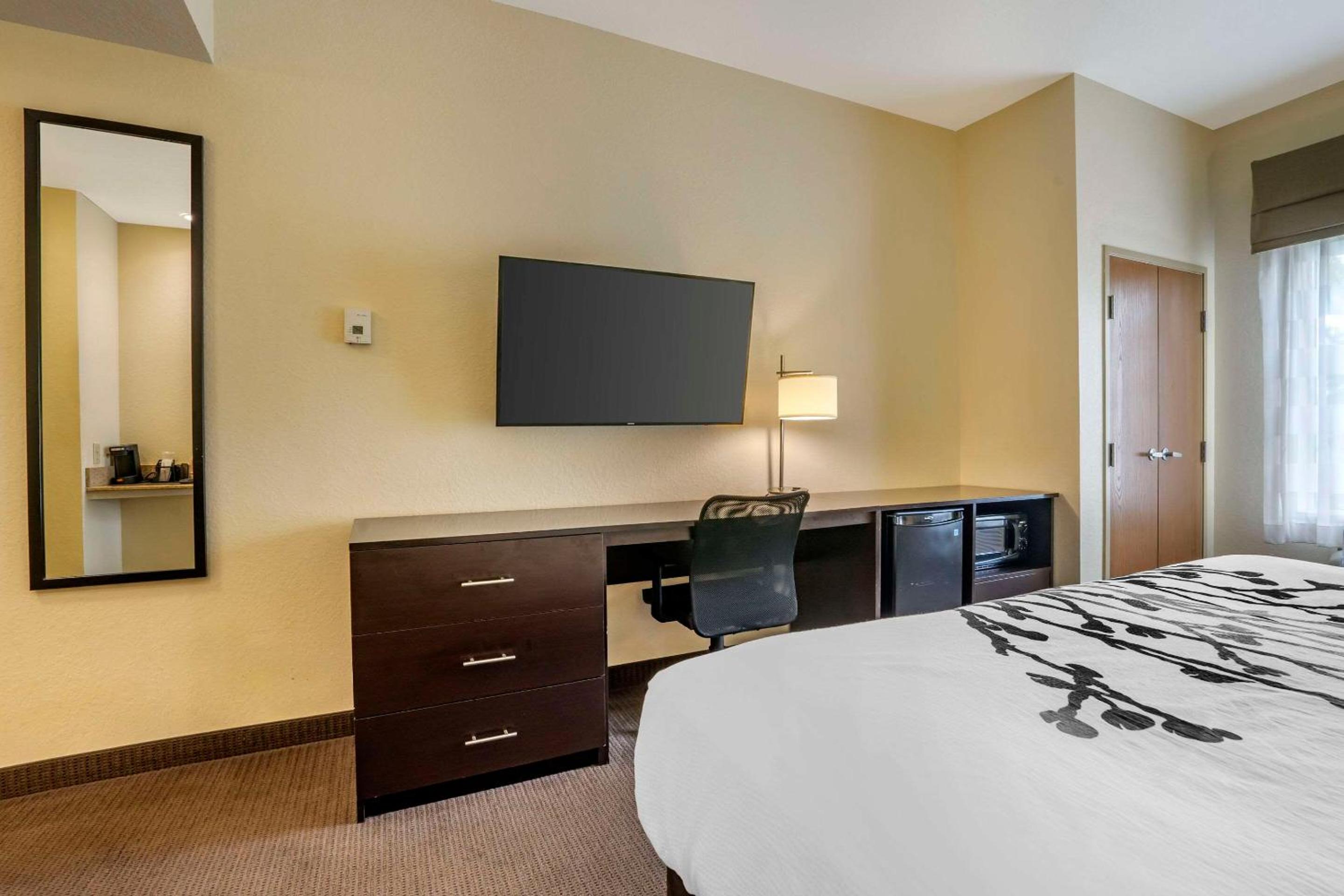King Suite with Sofa Bed - Non-Smoking - Photo 5