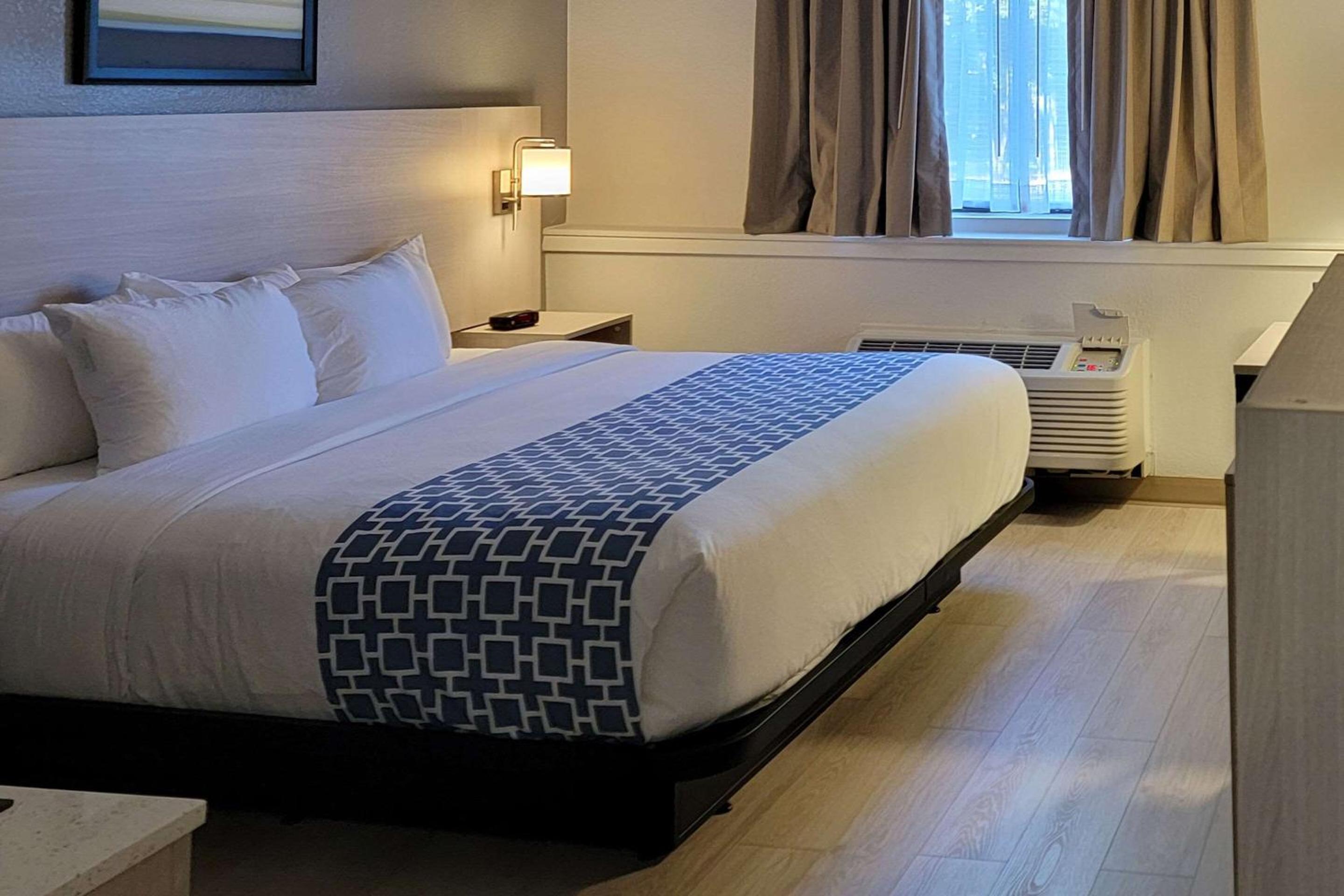 One Room Suite - Disability Access/Non Smoking