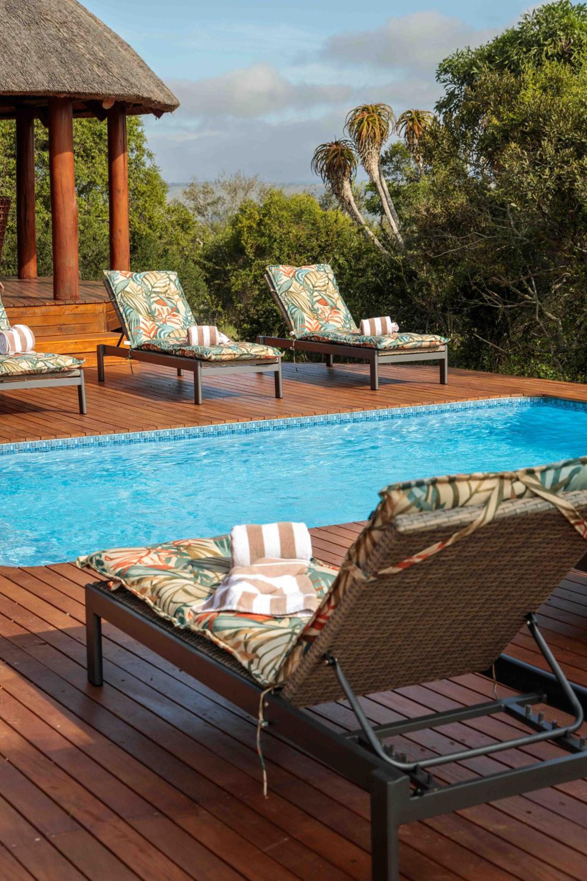 Deluxe Villa photo 2