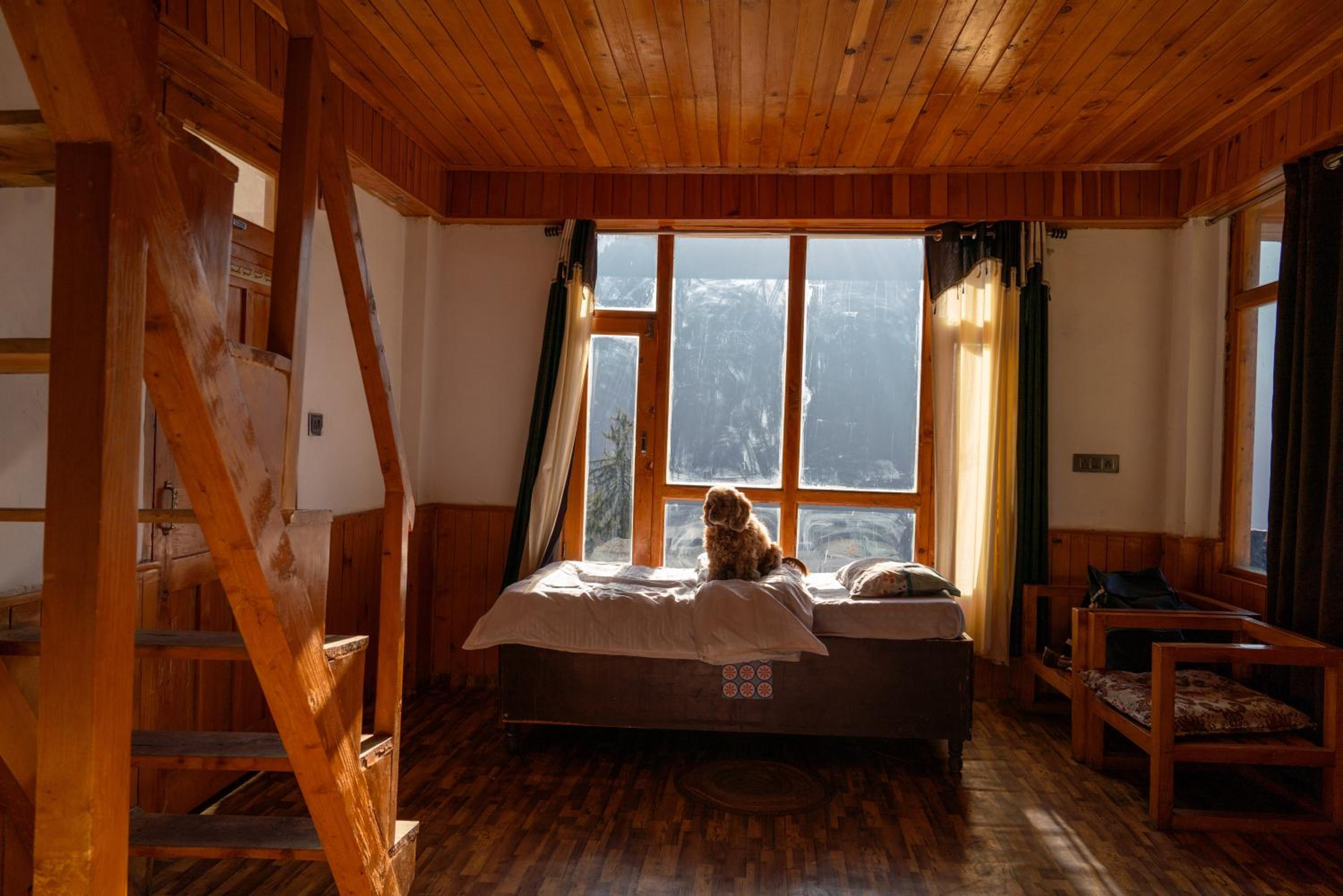 6-Bed Mixed Dormitory Room photo 2