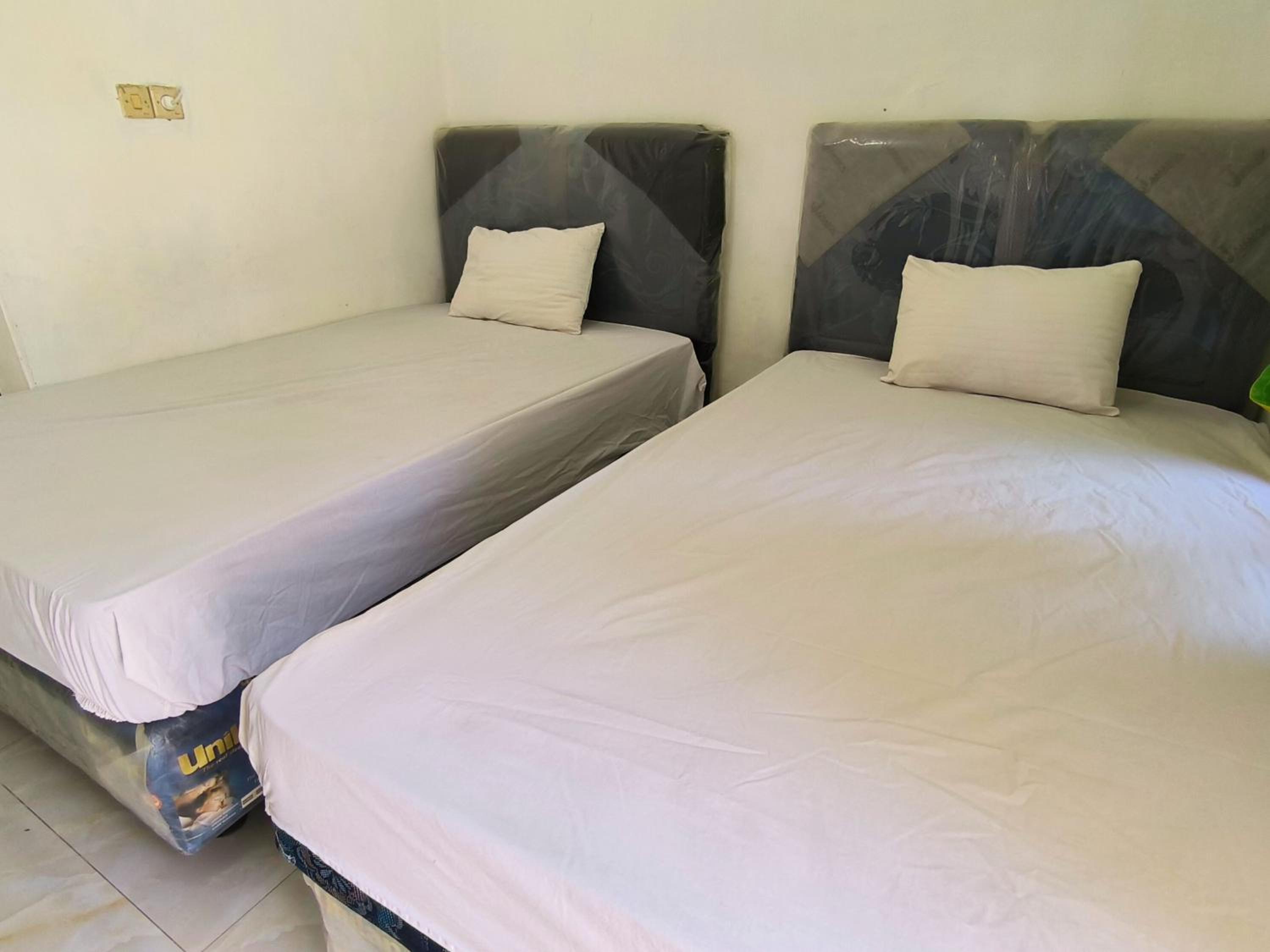 Standard Twin Room photo 3