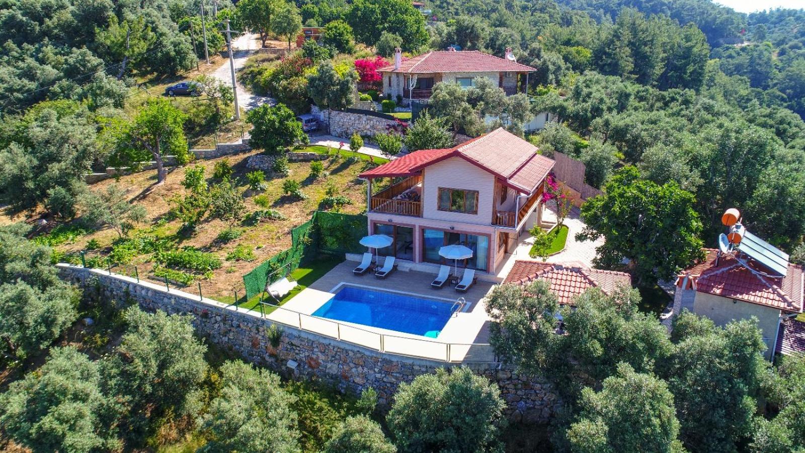 Villa photo 3