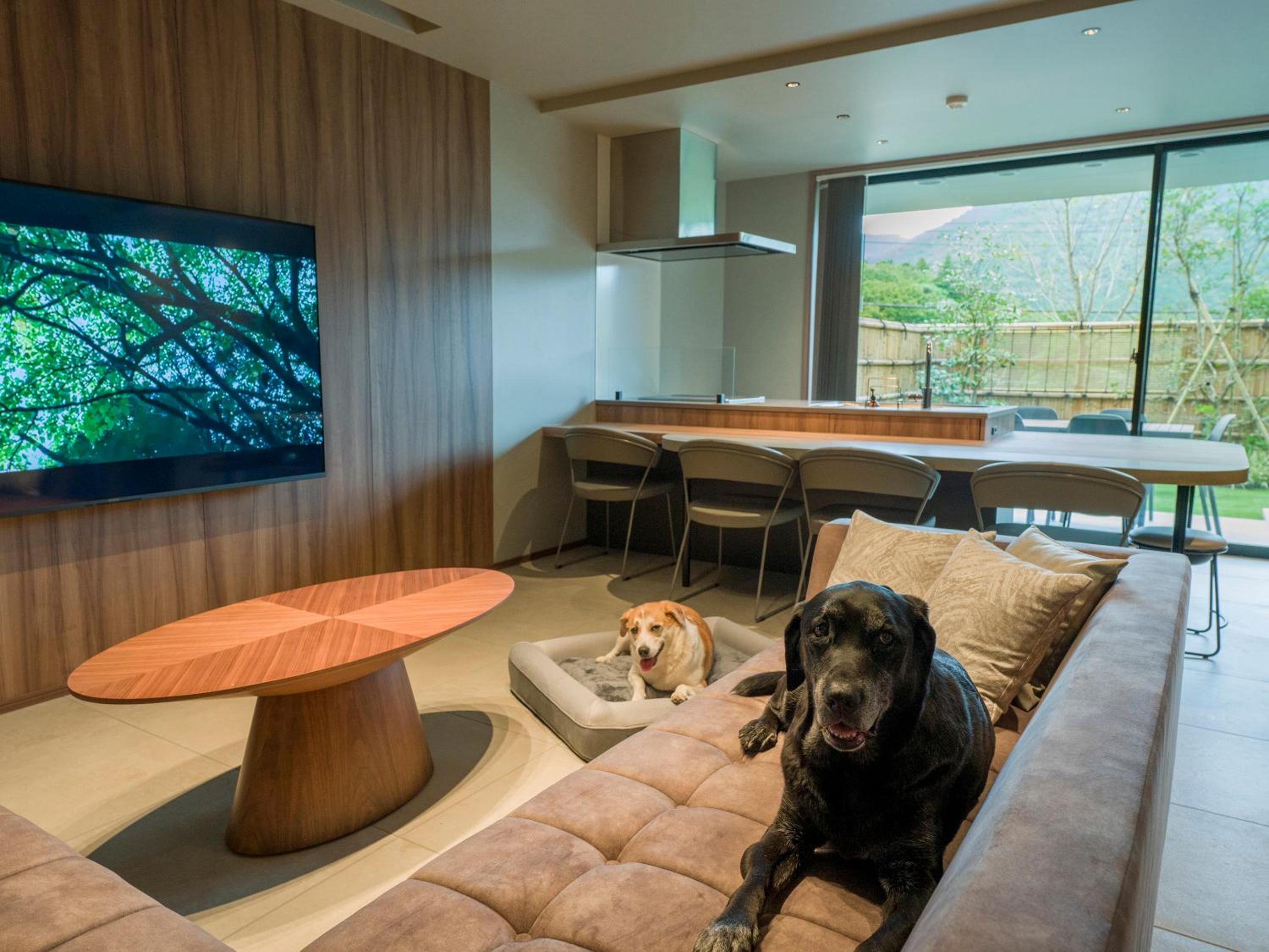 [D]2 Queen Beds + Japanese Futon Area (Dog-Friendly) - Photo 1