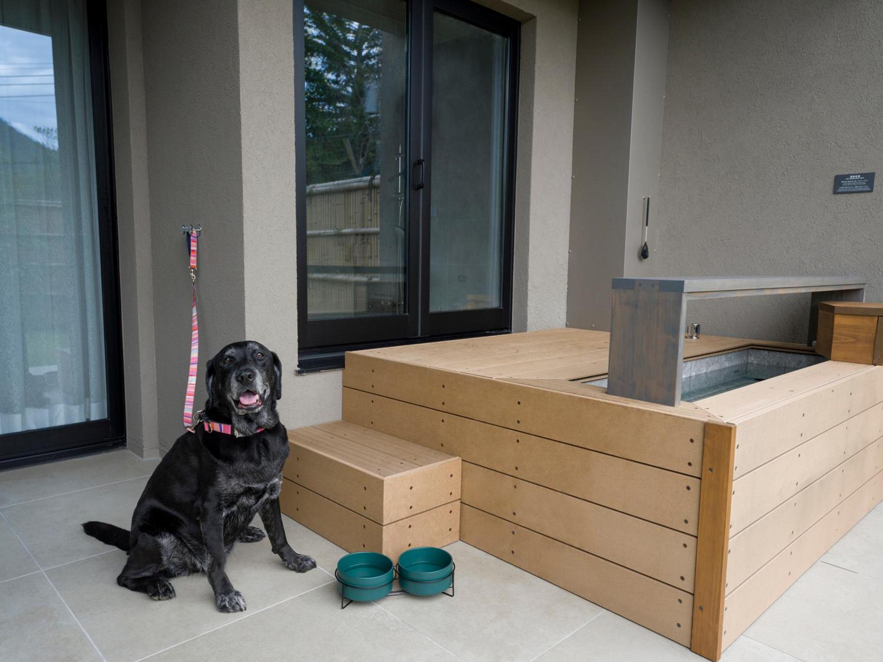 [D]2 Queen Beds + Japanese Futon Area (Dog-Friendly) - Photo 19