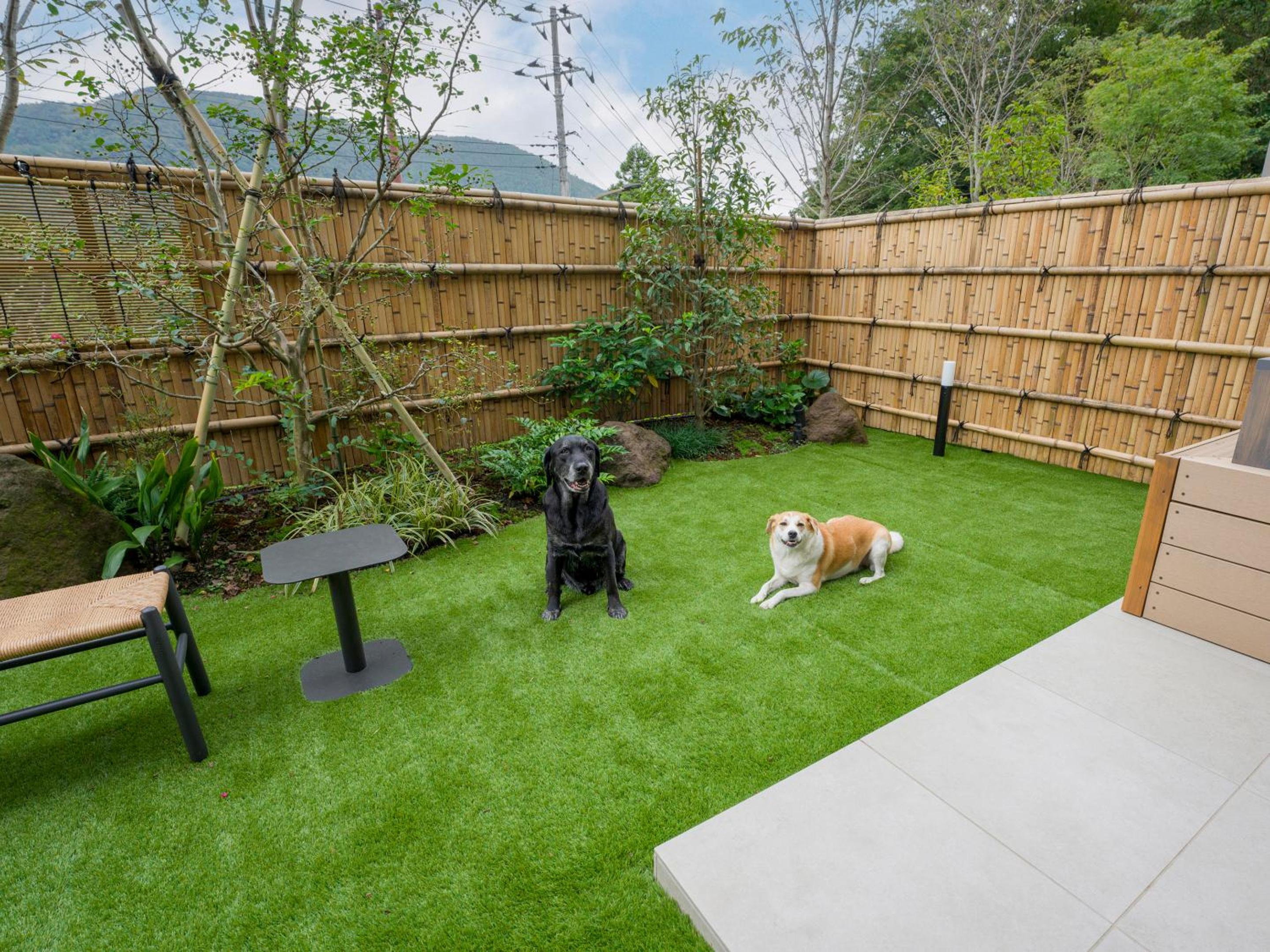 [D]2 Queen Beds + Japanese Futon Area (Dog-Friendly) - Photo 27