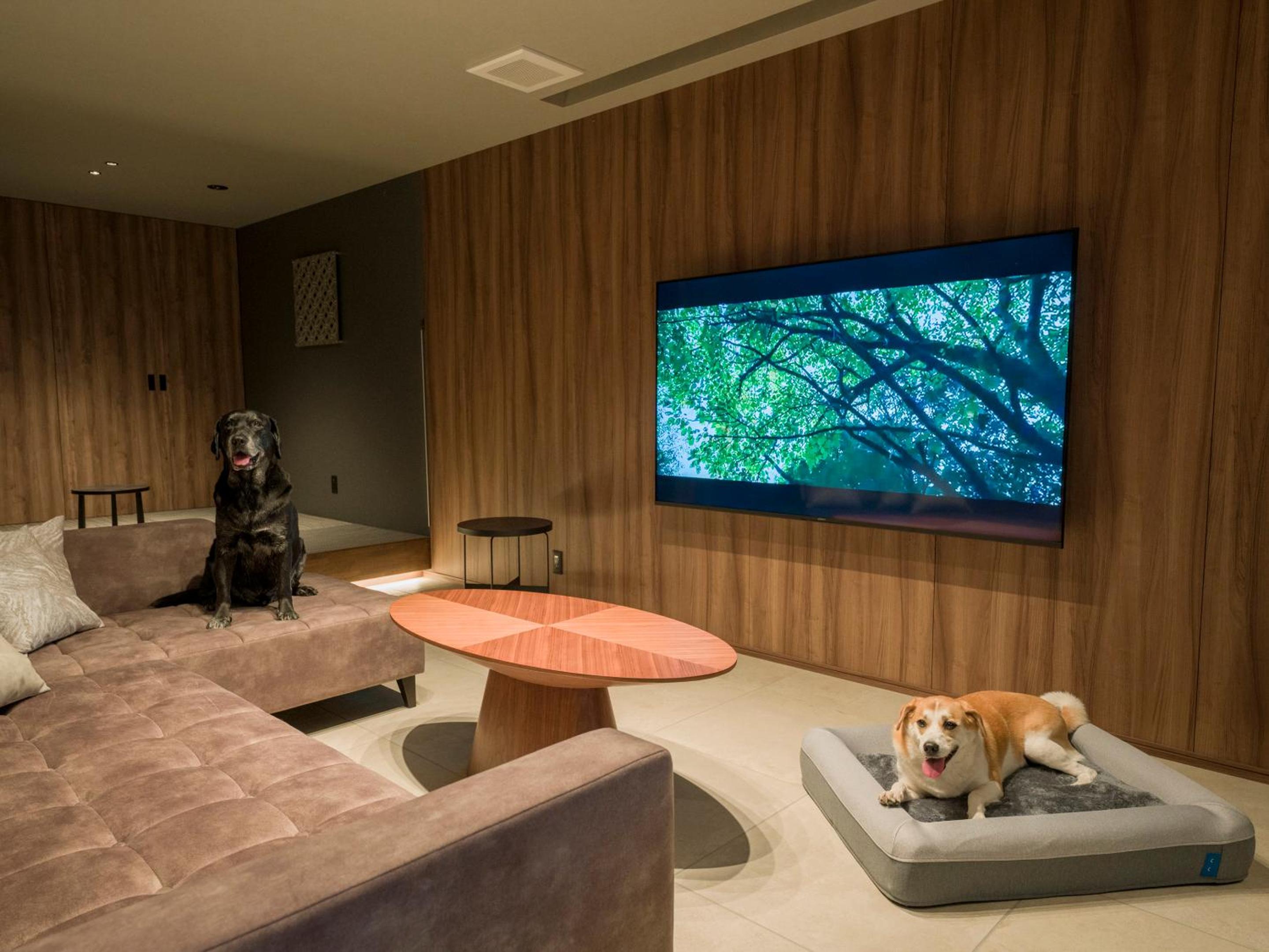 [D]2 Queen Beds + Japanese Futon Area (Dog-Friendly) - Photo 30