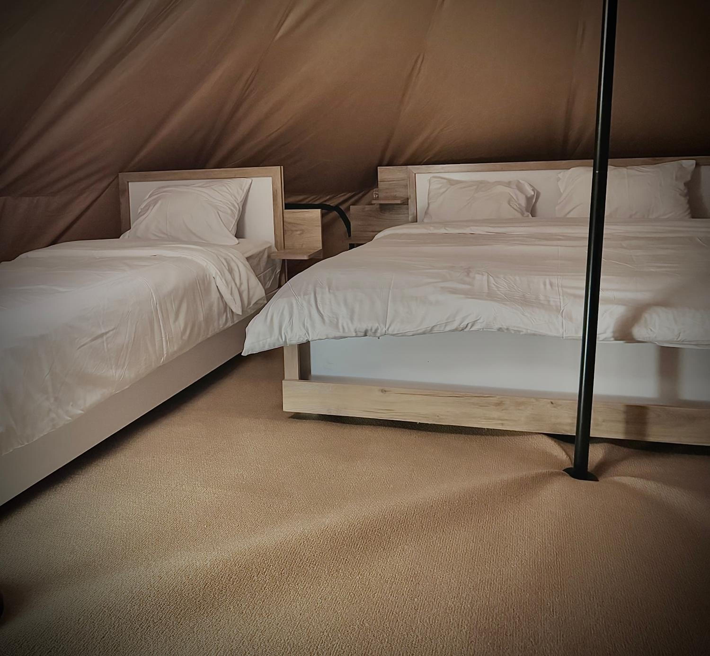 Tent (3Adults) photo 1