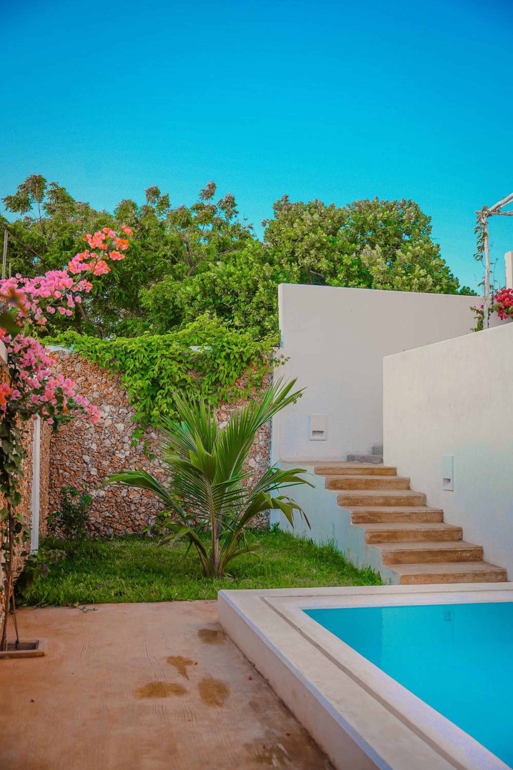 One-Bedroom Villa photo 3