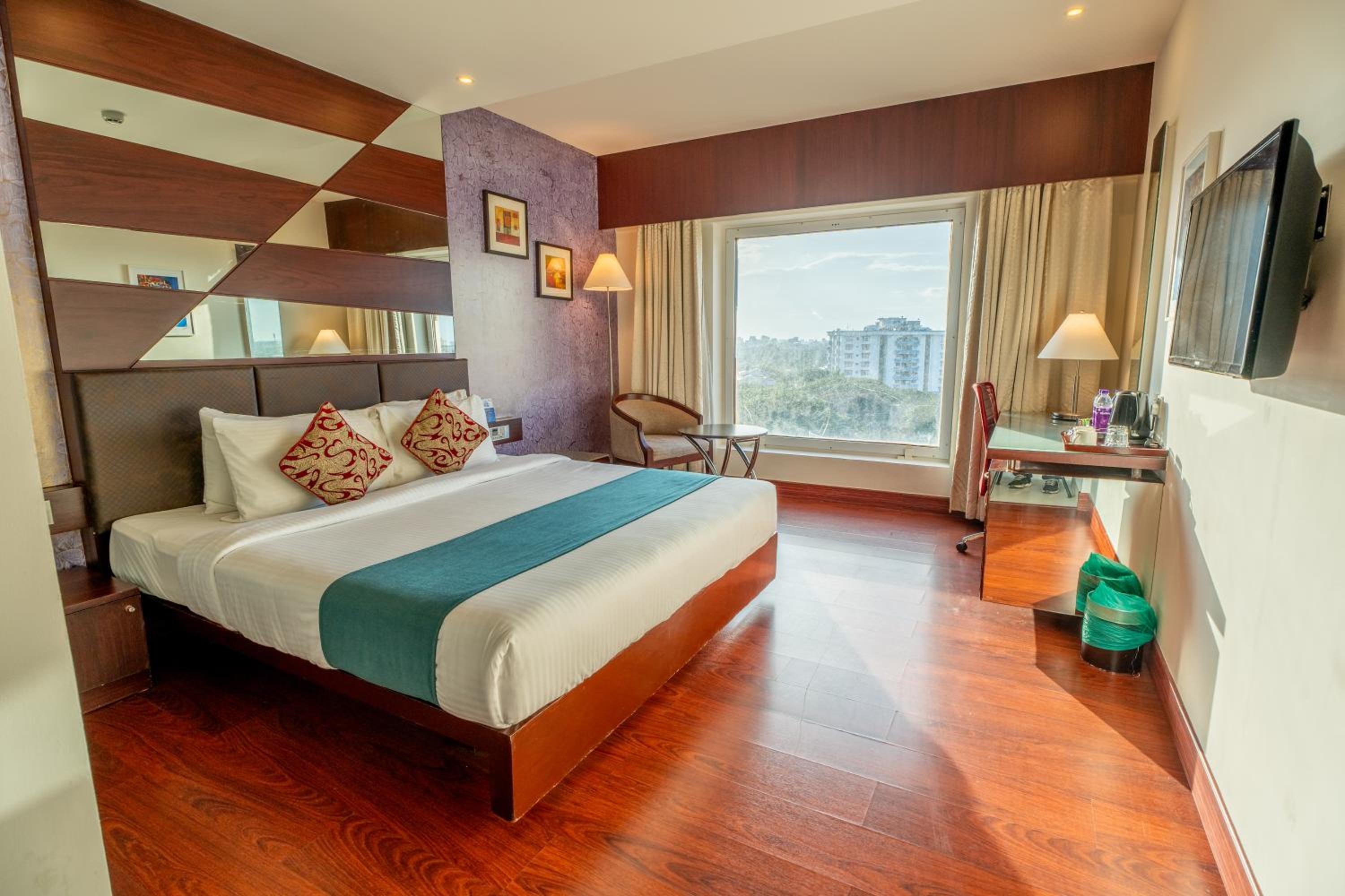 Executive Suite