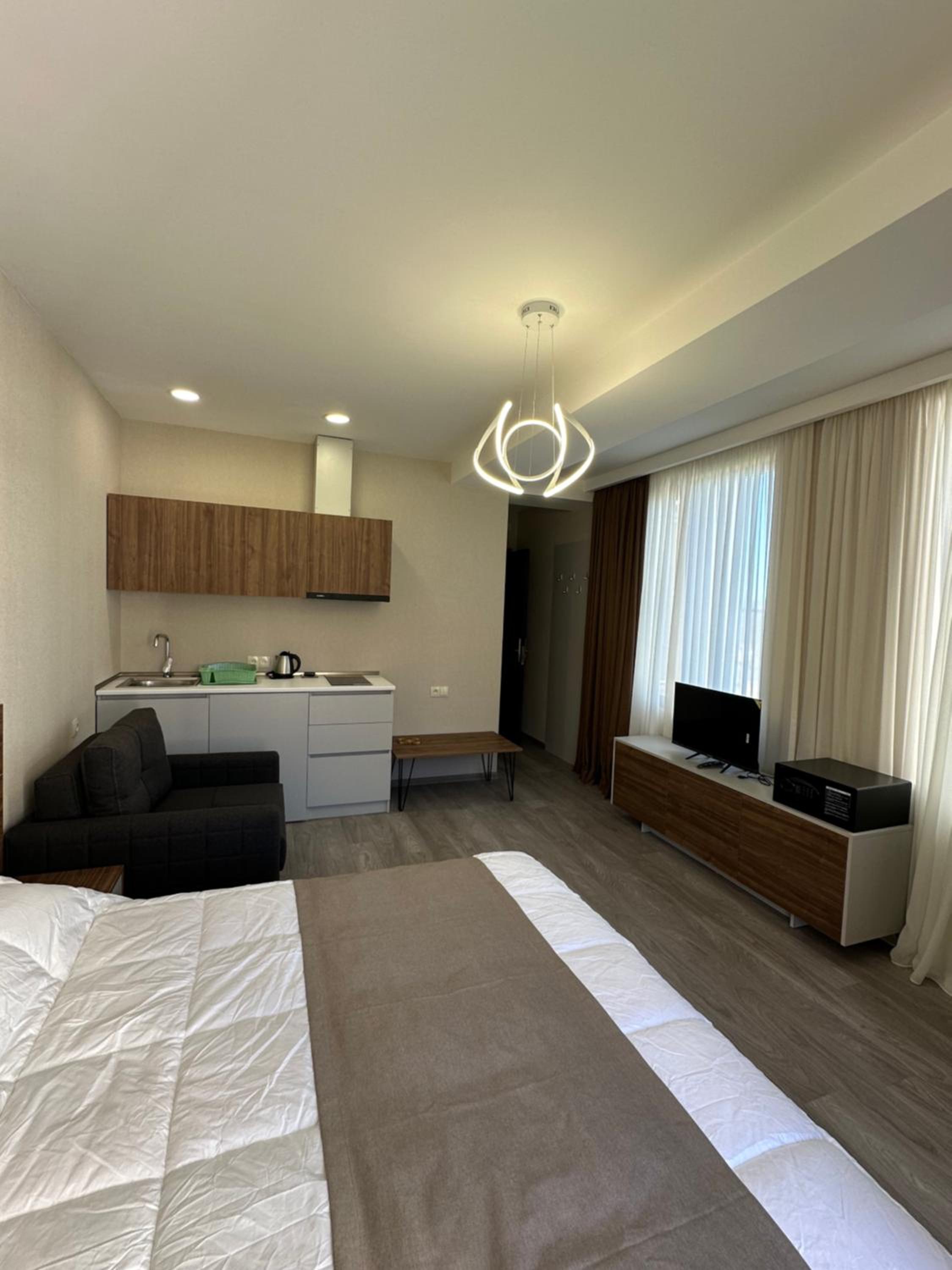 One-Bedroom Apartment photo 3