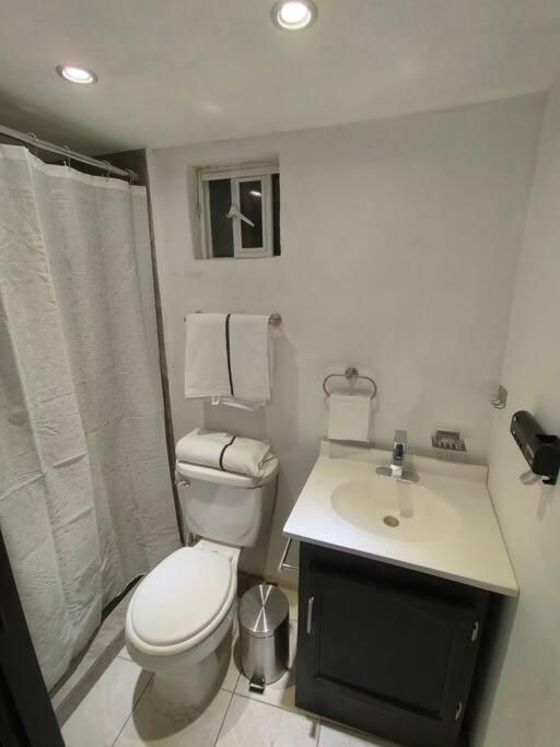 One-Bedroom Apartment photo 3