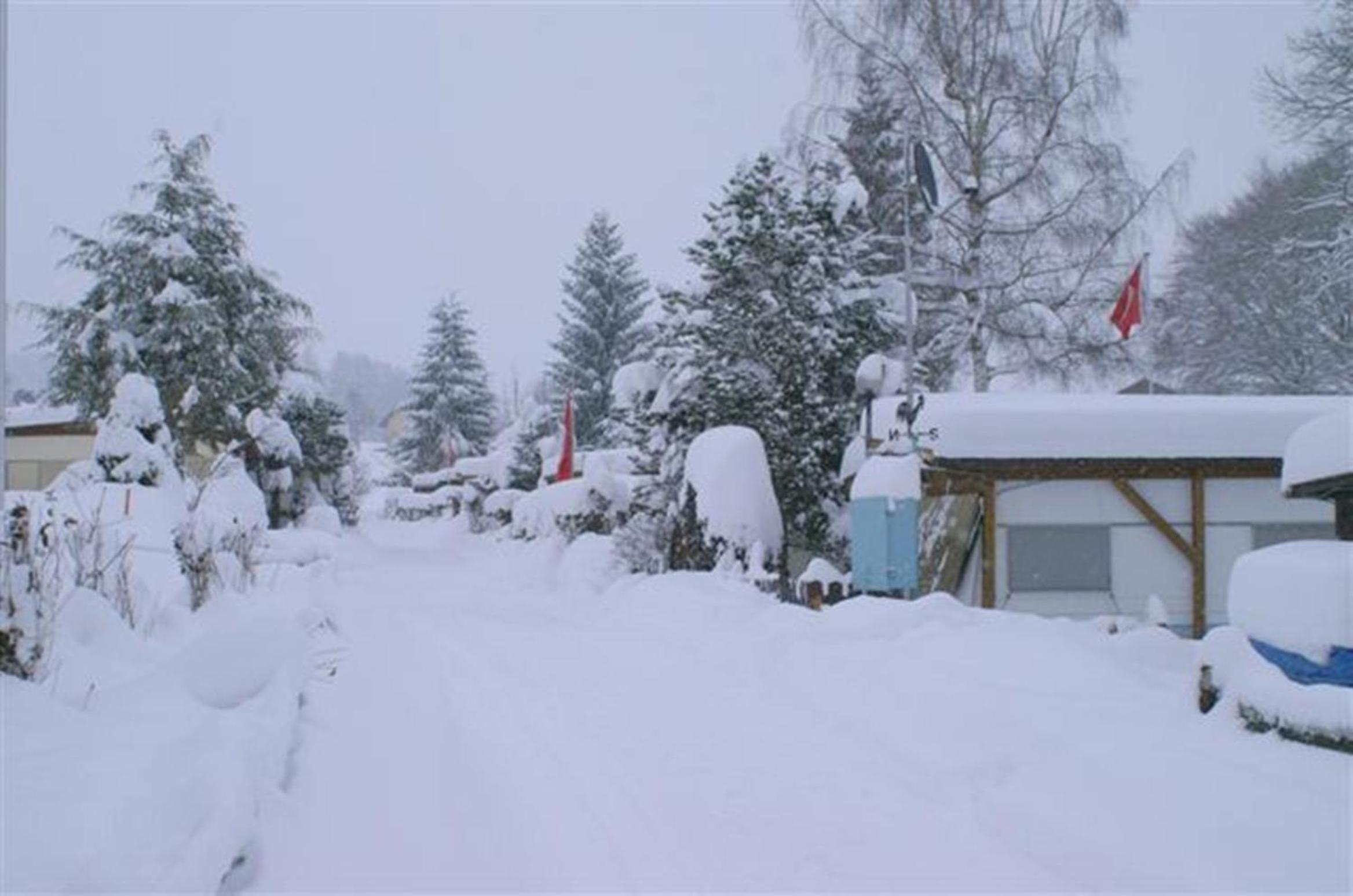 Cottage - Photo 17