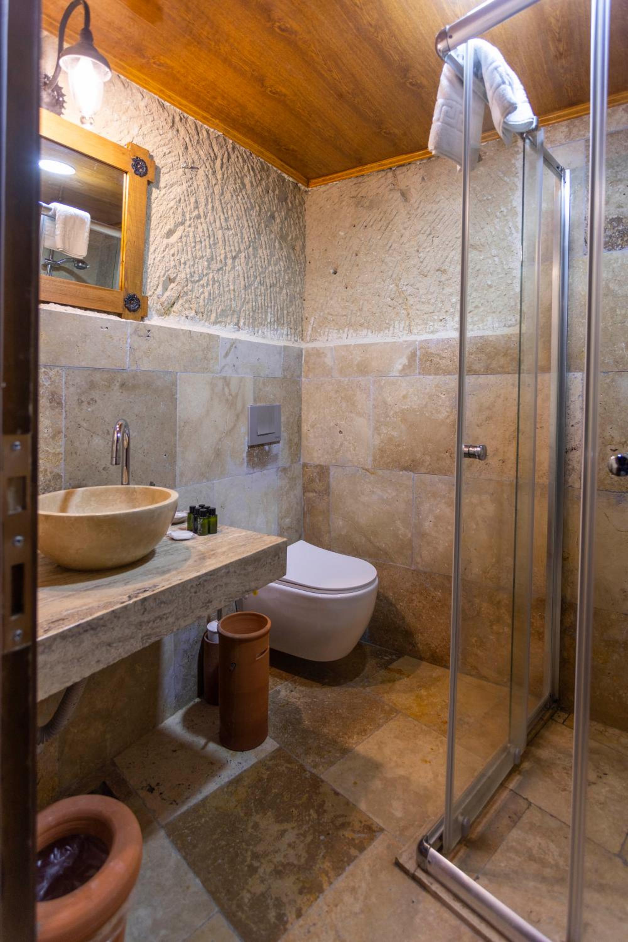 Deluxe Double or Twin Room photo 2
