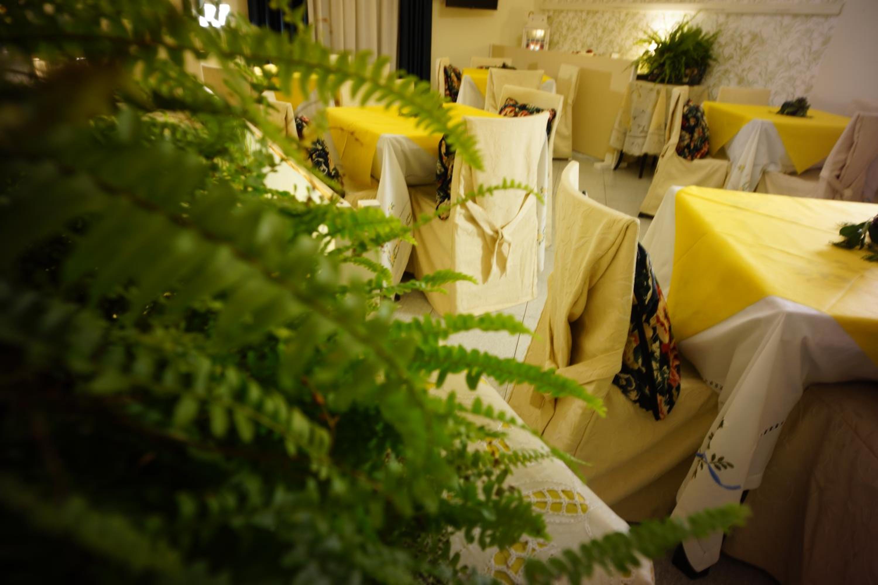 Deluxe Family Suite - Photo 5