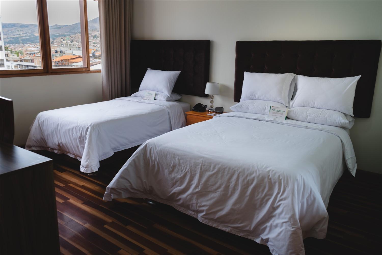 Twin Room photo 2