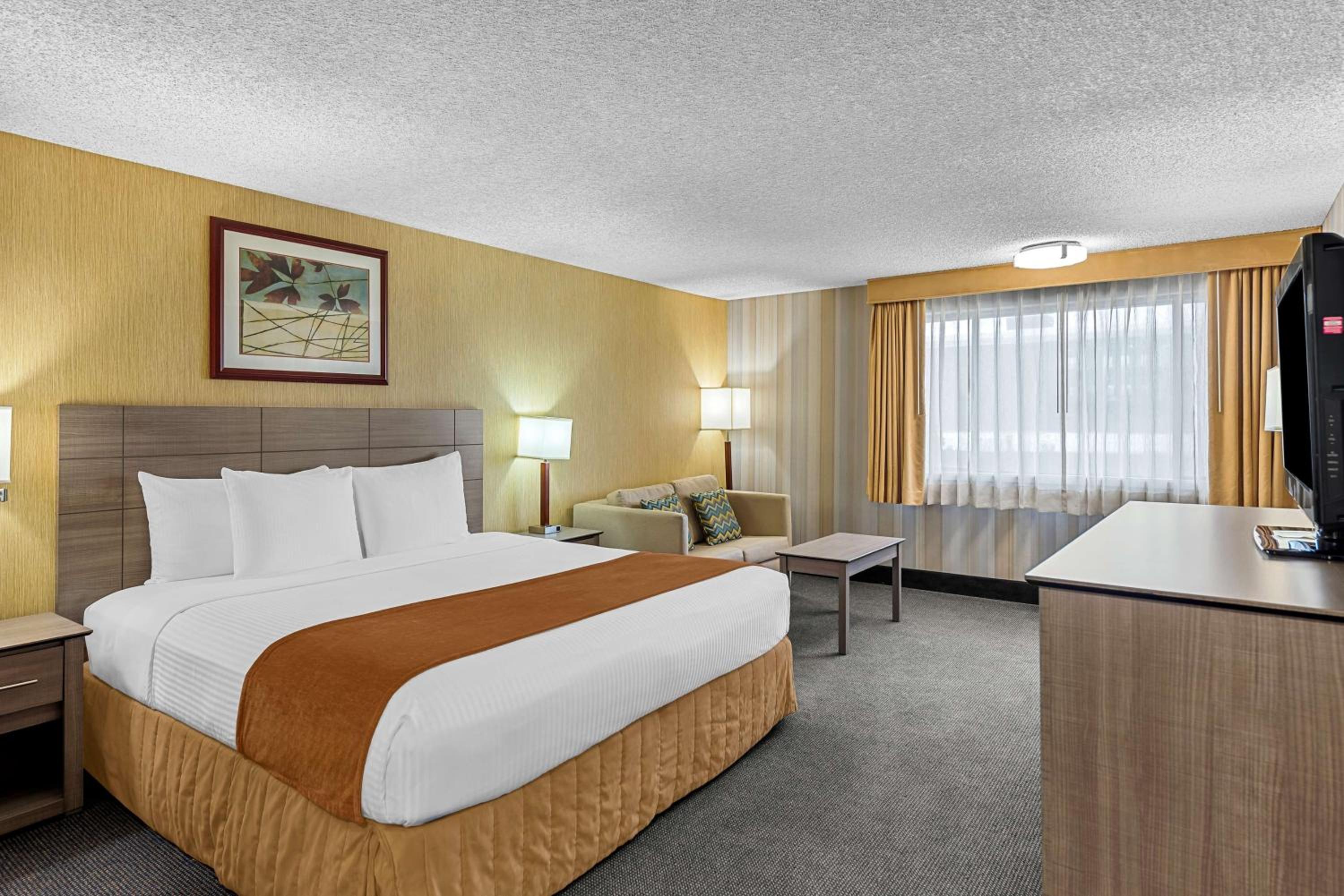 King Room - Disability Access photo 3
