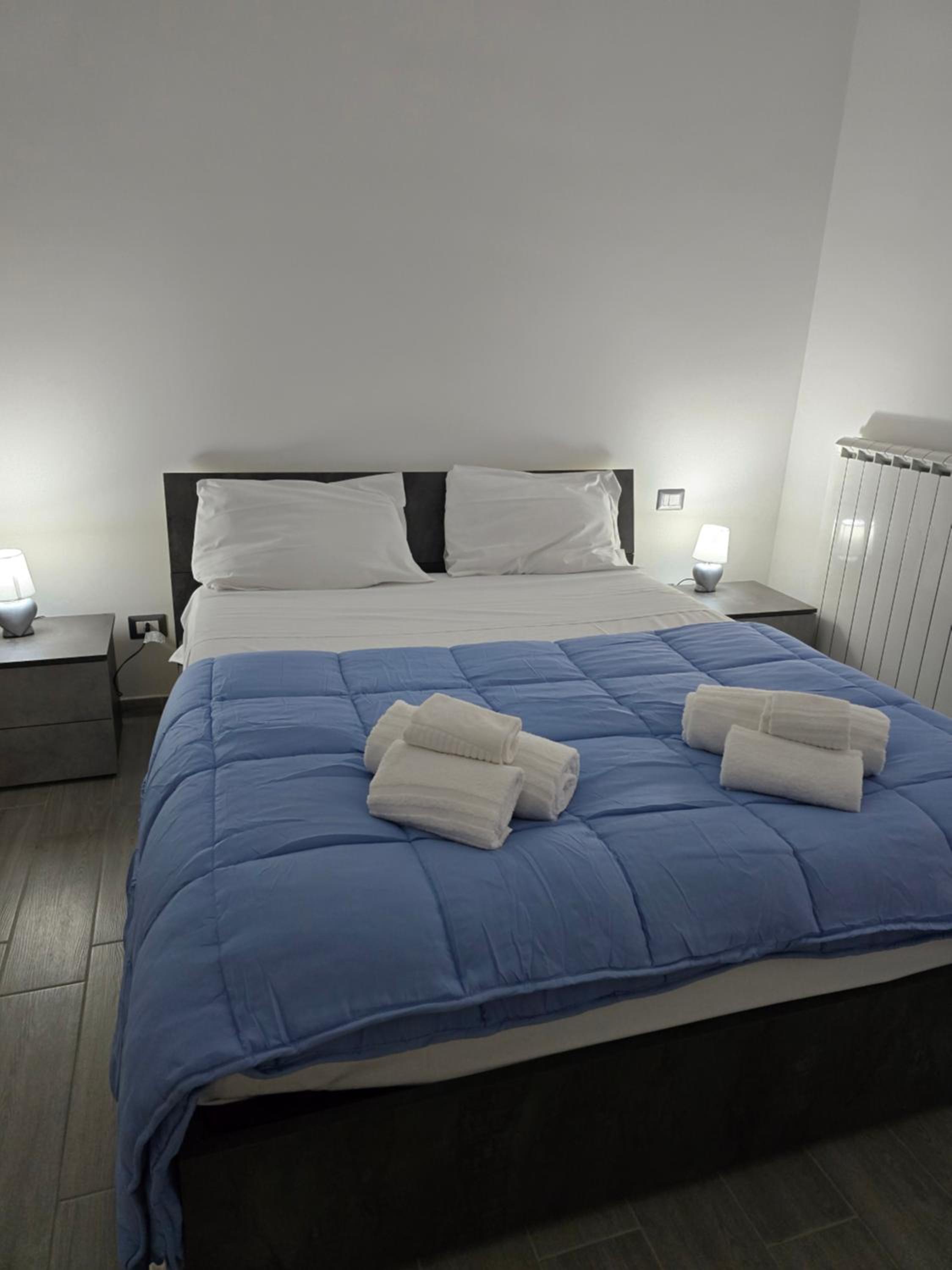 Superior One-Bedroom Apartment with Balcony photo 1