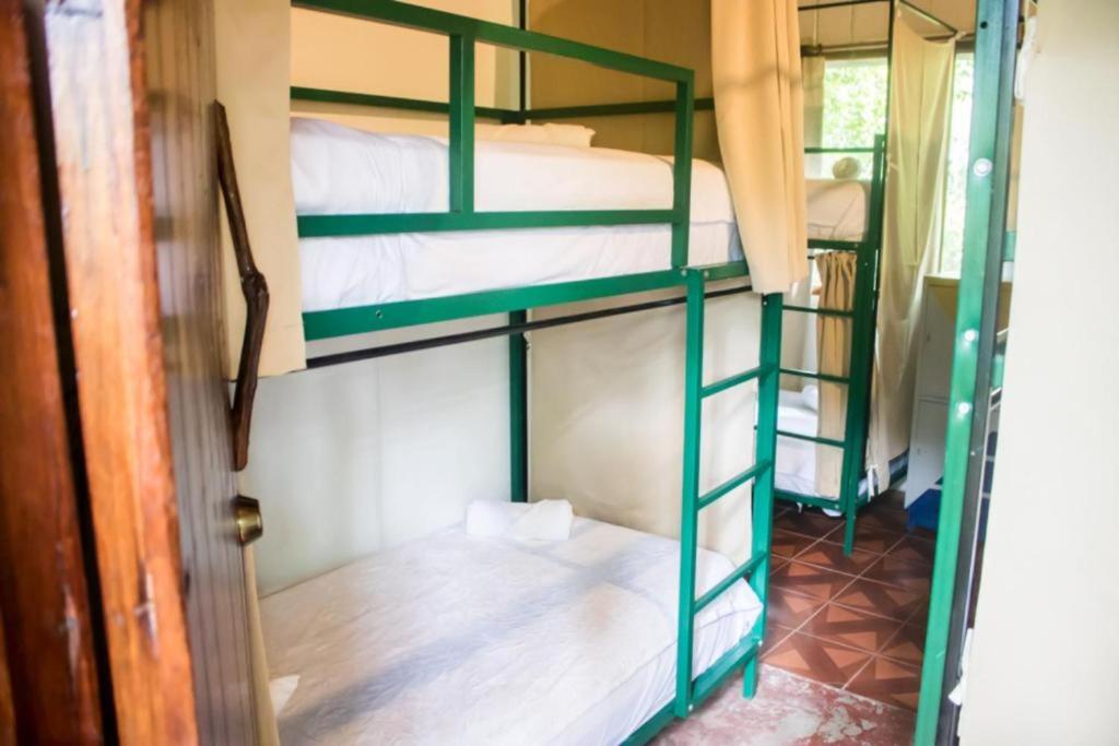 Bed In 4-Bed Mixed Dormitory Room photo 1