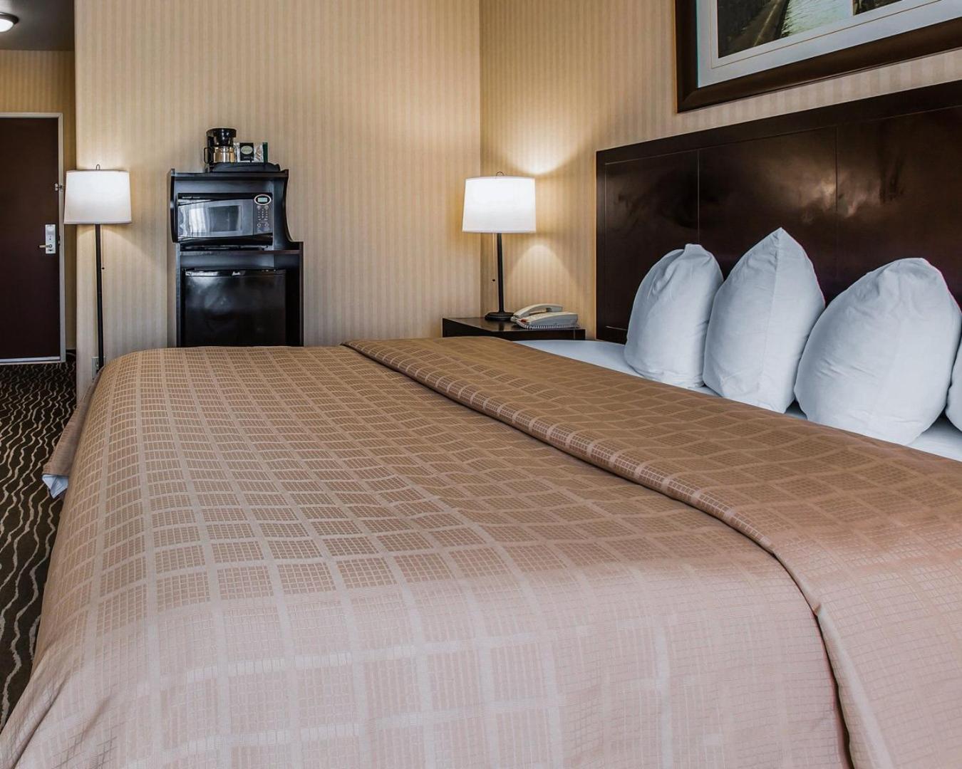 Standard Room, 1 King Bed, Non Smoking - Photo 3