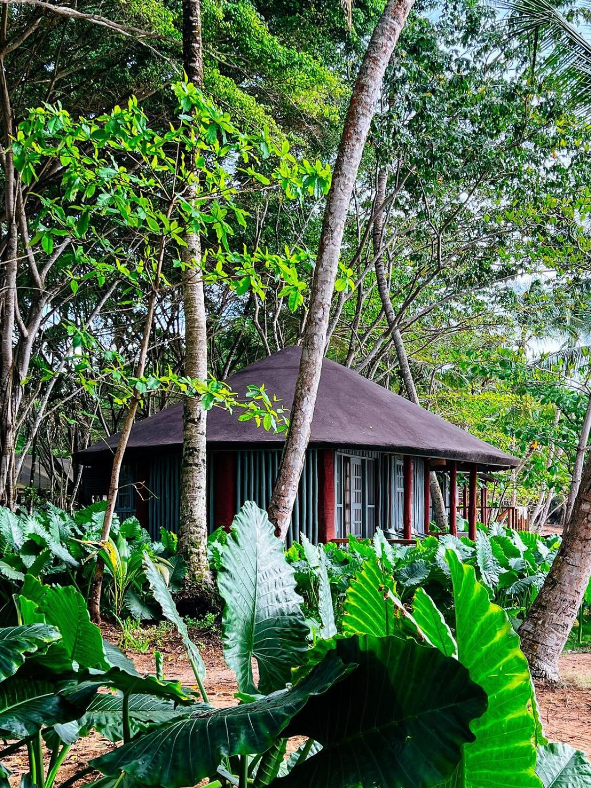 Bungalow with Garden View photo 2
