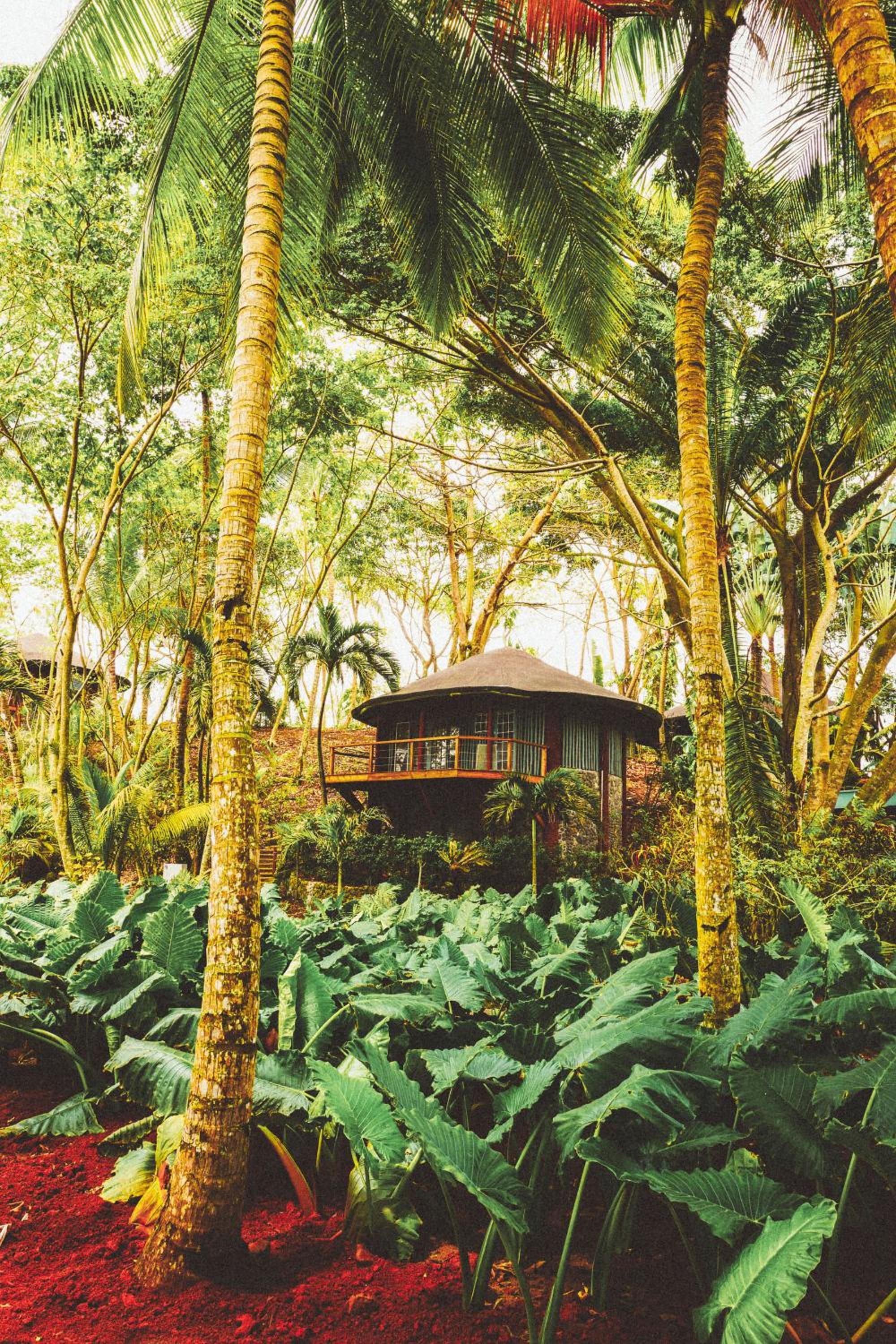 Bungalow with Garden View photo 3