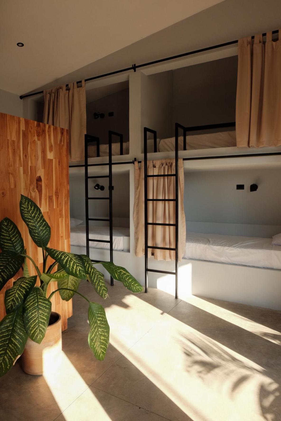 Bunk Bed in Female Dormitory Room   photo 2