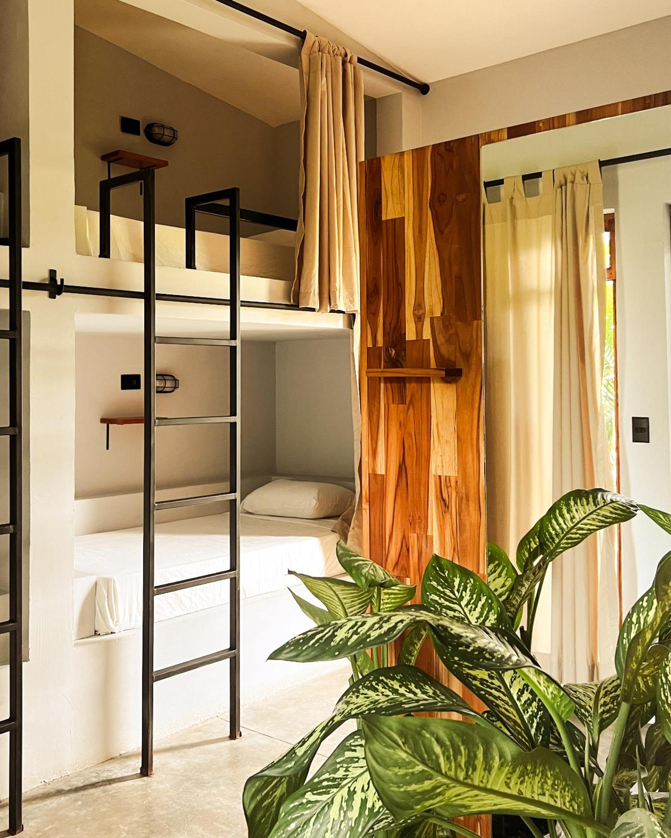 Bunk Bed in Female Dormitory Room   photo 3