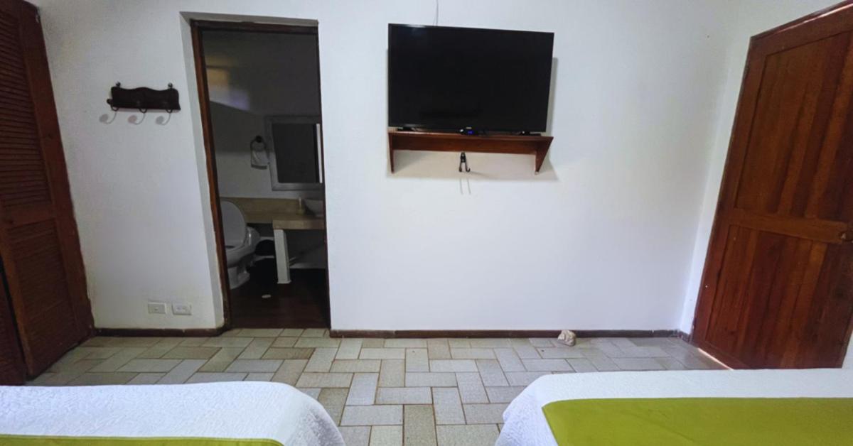 Twin Room photo 1