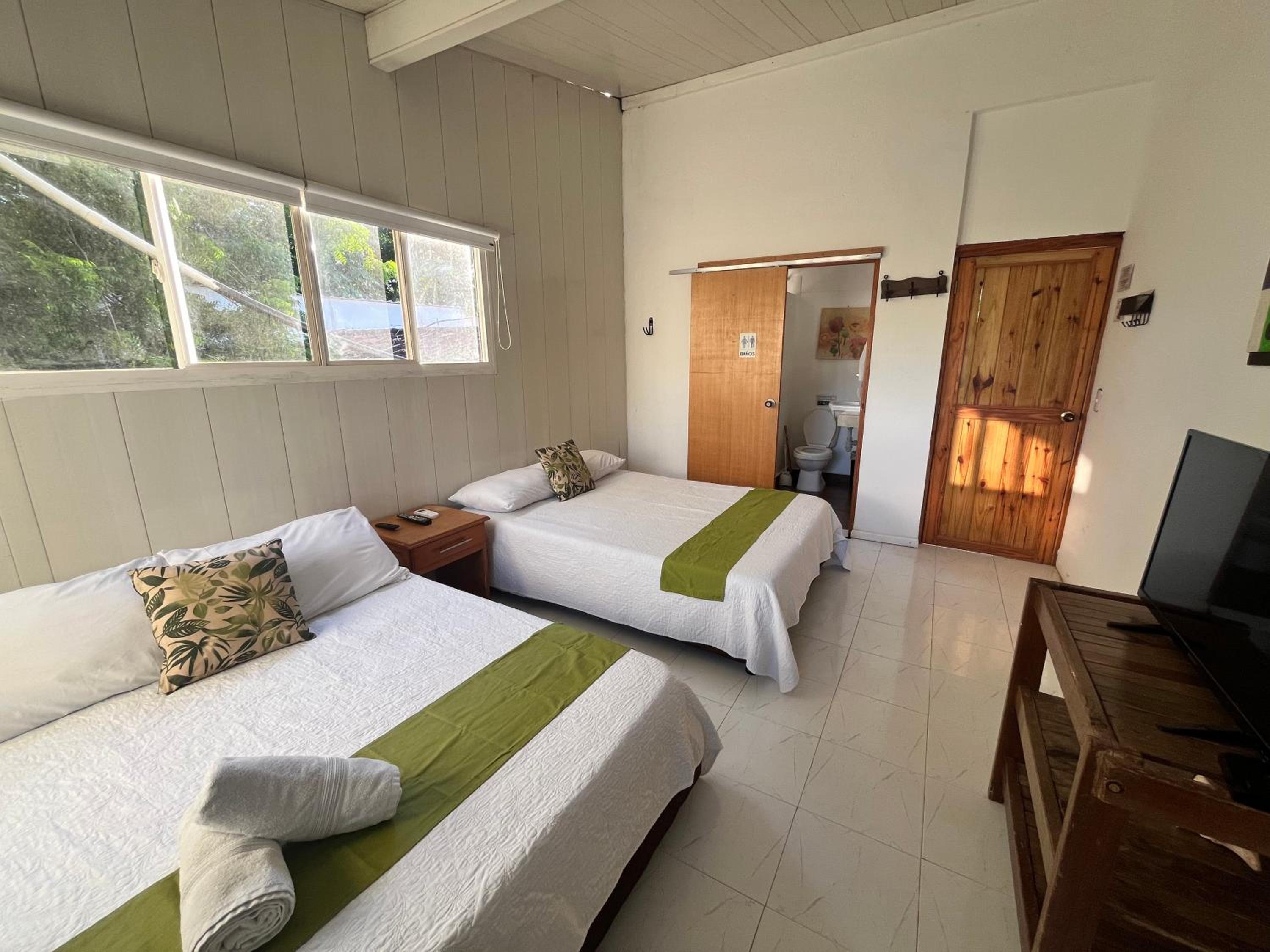 Twin Room photo 1
