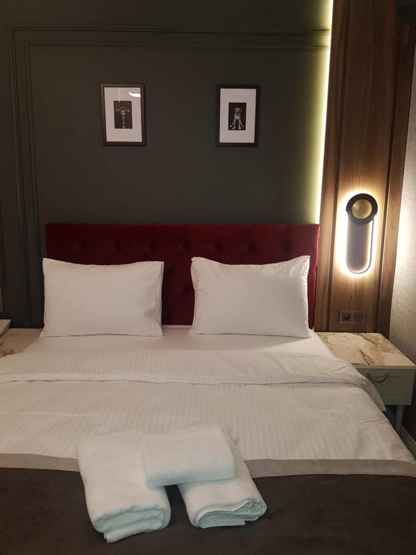 Double or Twin Room photo 3