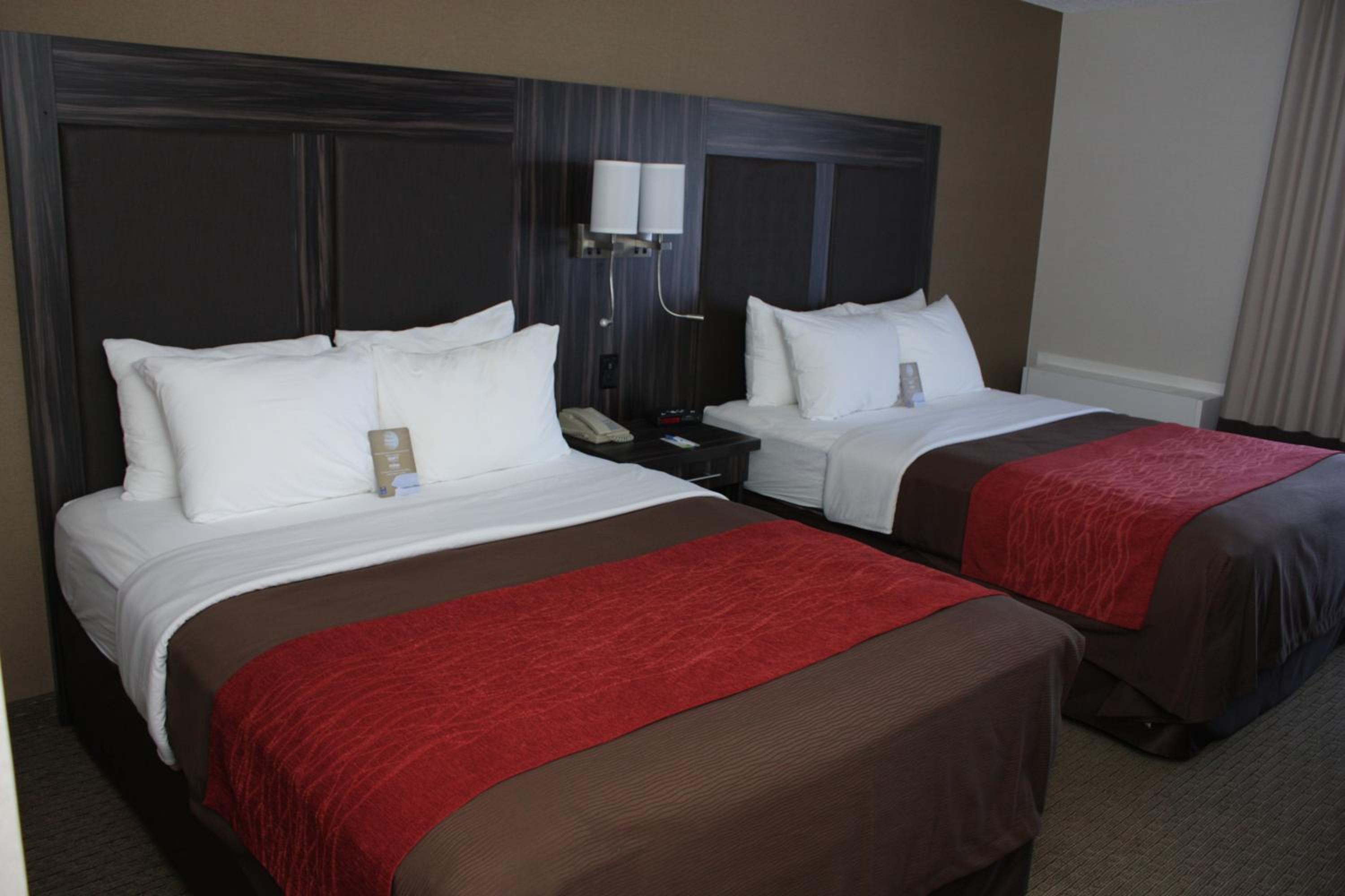 Queen Room with Two Queen Beds - Ground Floor - Pet-Friendly - Photo 1