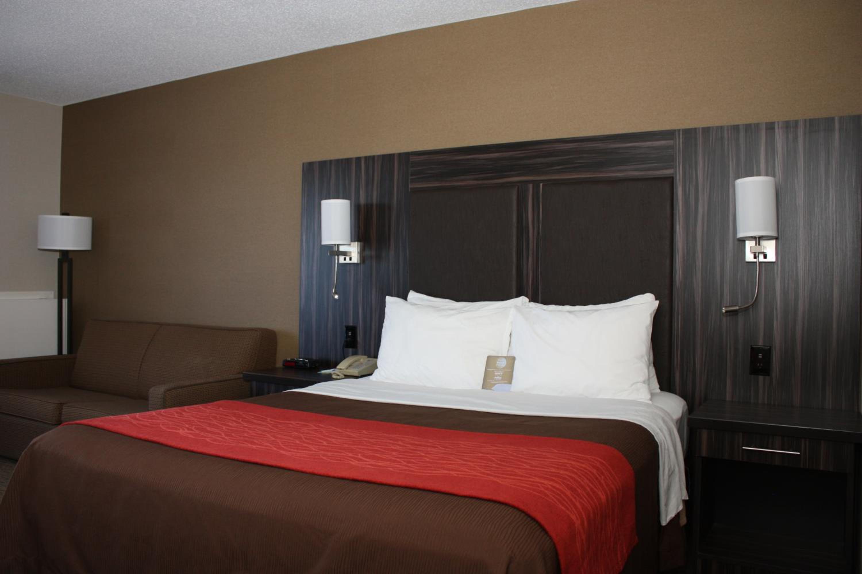 Queen Room - Ground Floor - Pet-Friendly - Photo 1