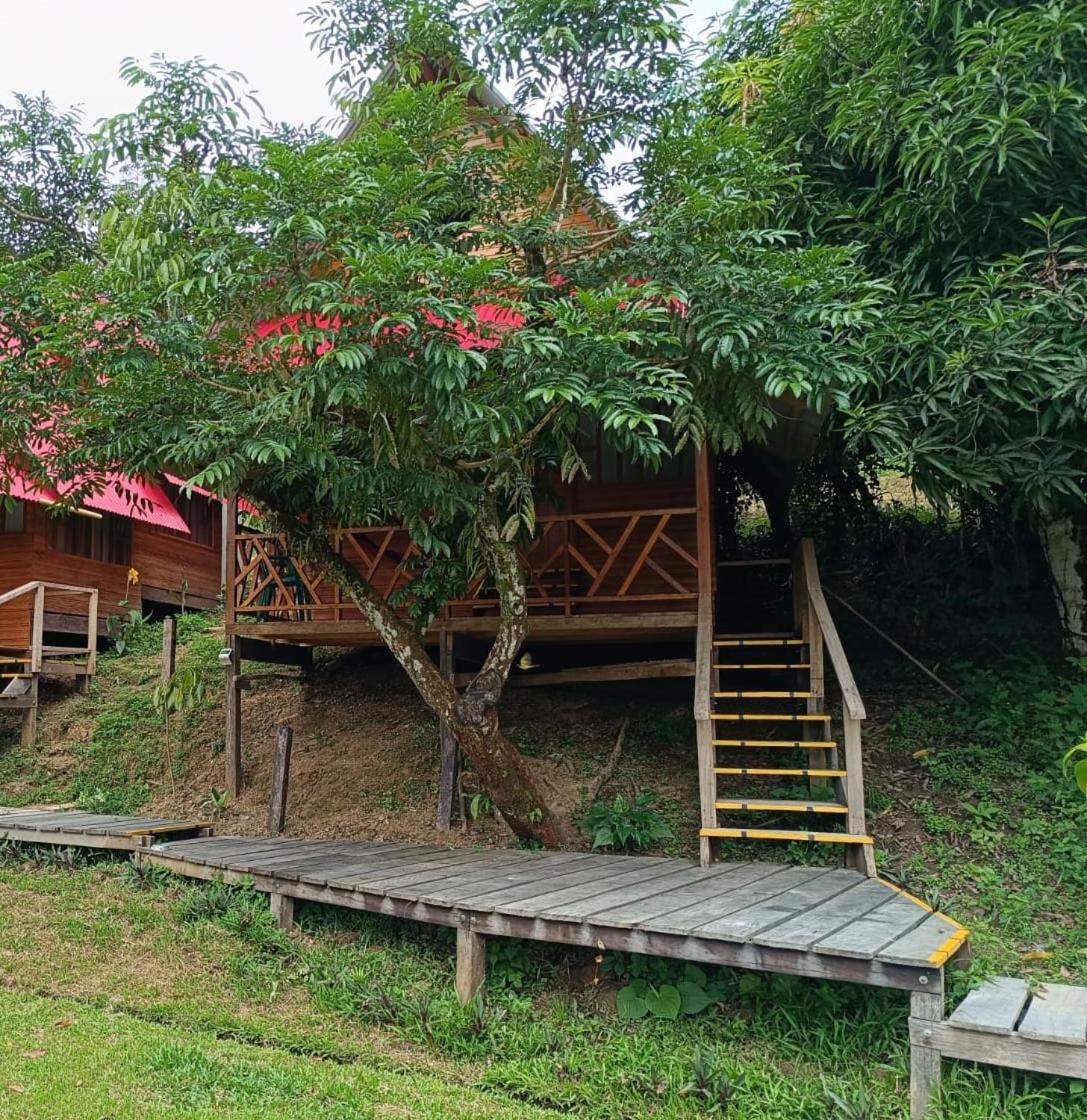 Cottage with Garden View photo 2