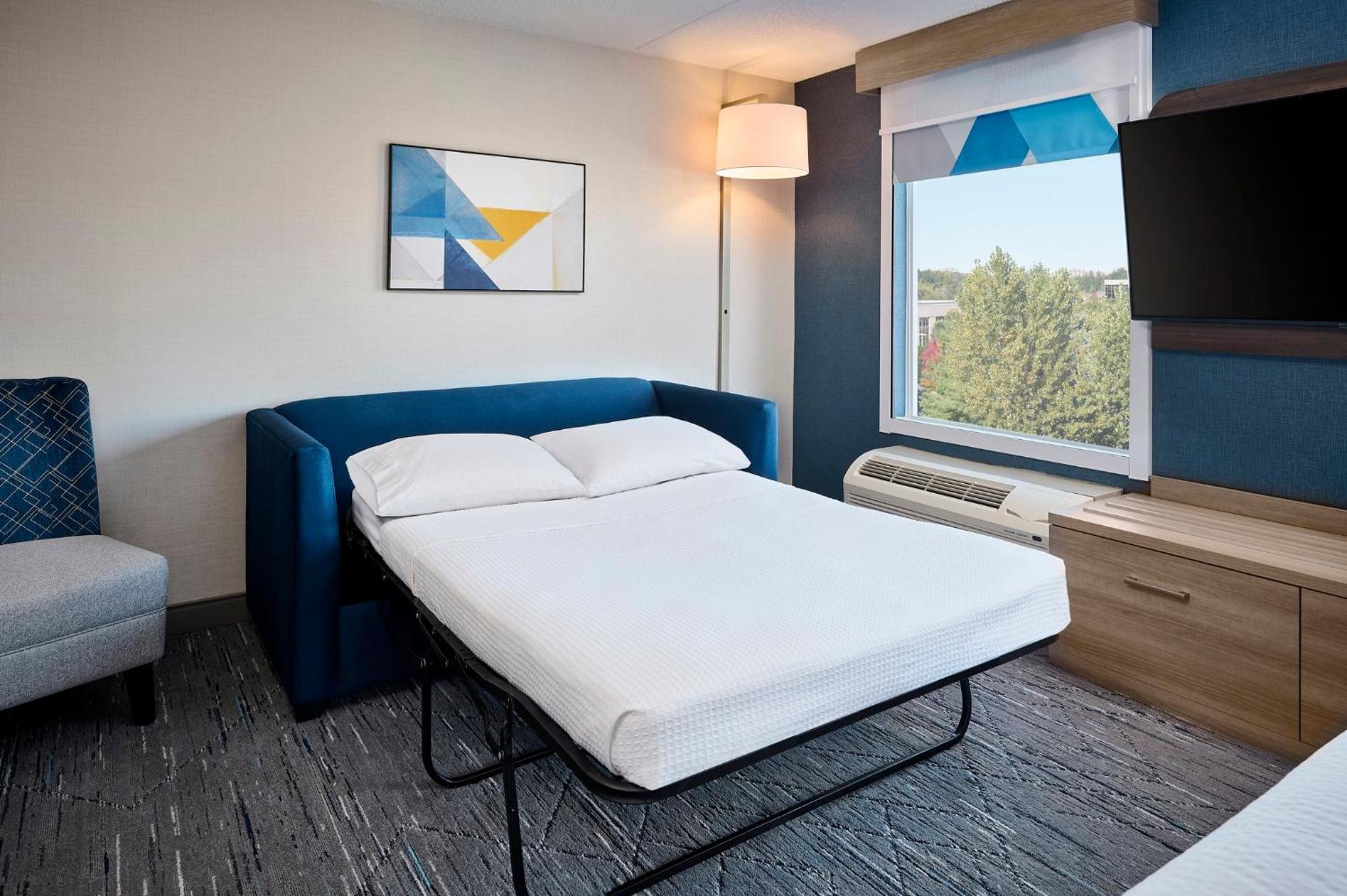King Suite with Living Area and Sofa Bed - Photo 5