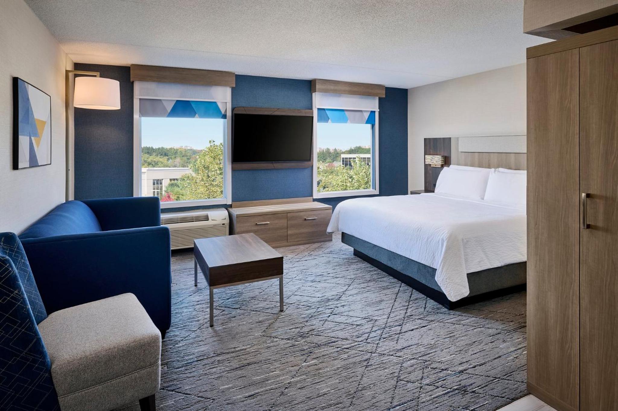 King Suite with Living Area and Sofa Bed - Photo 3