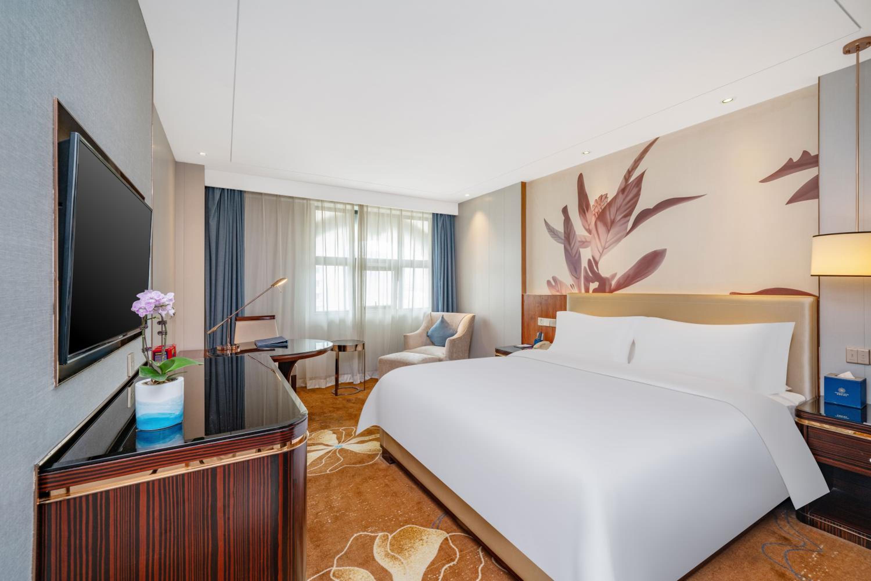 Superior Queen Room