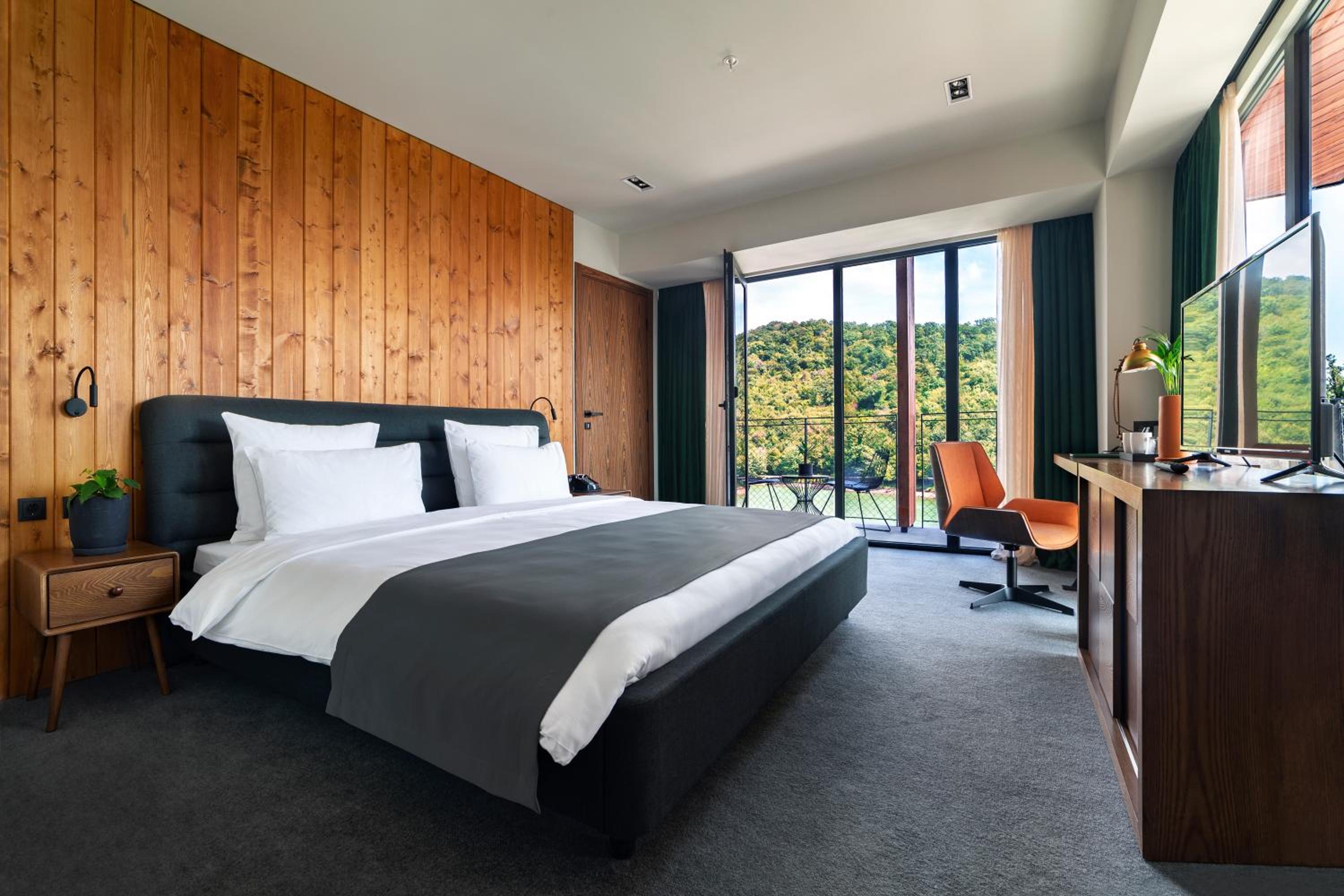 Standard King Room With Lake View (Building B)