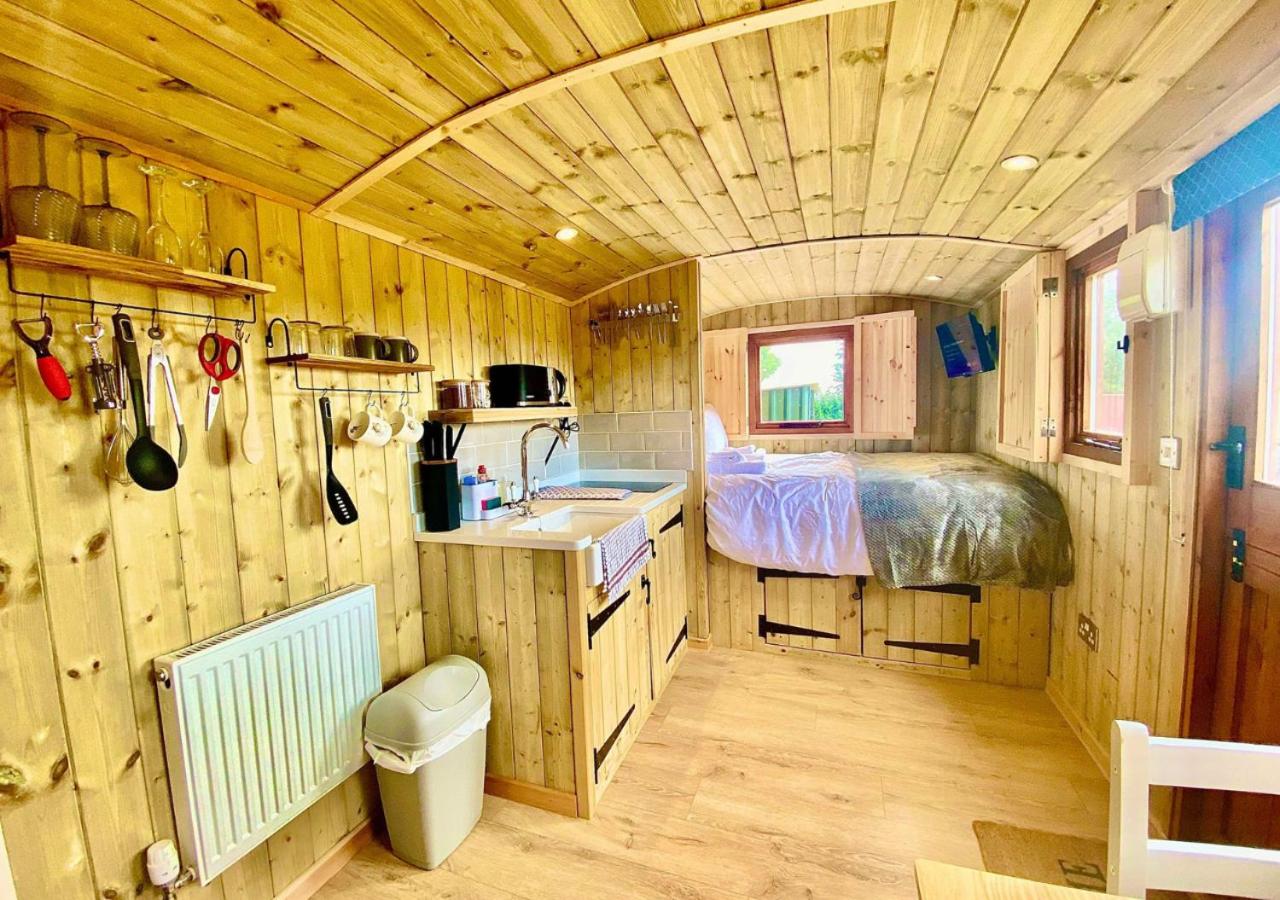 One-Bedroom House photo 3
