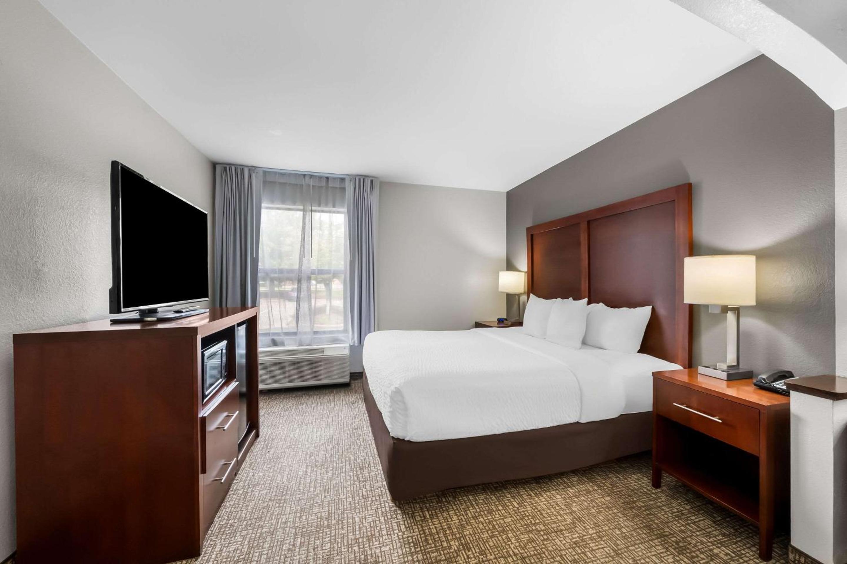 King Suite with Sofa Bed - Non-Smoking - Photo 4