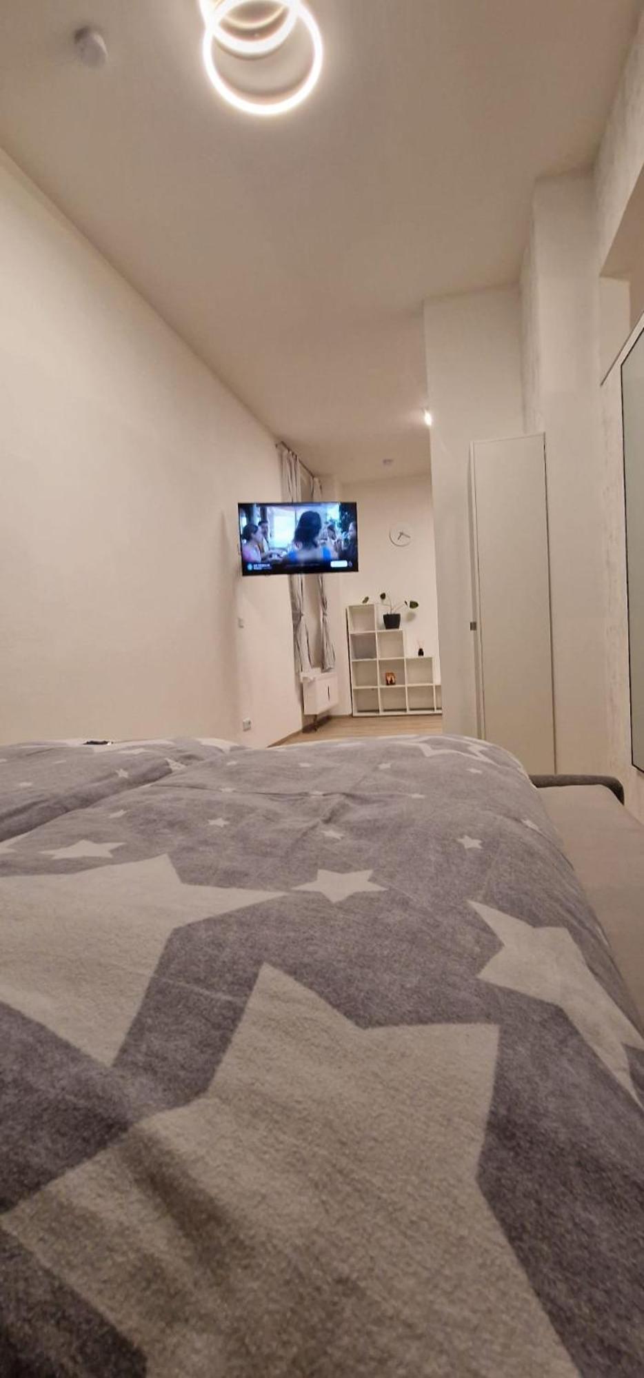 One-Bedroom Apartment photo 3