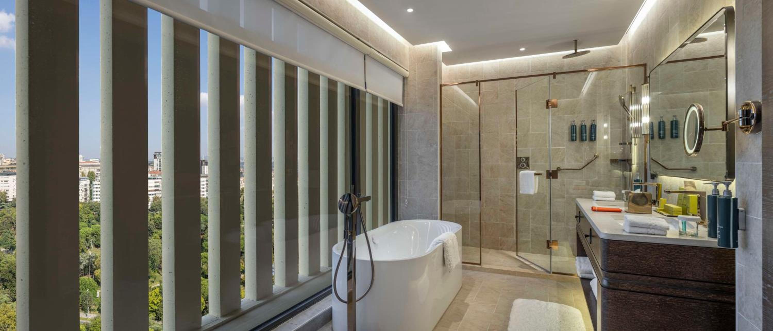 Ambassador Suite thumbnail 6