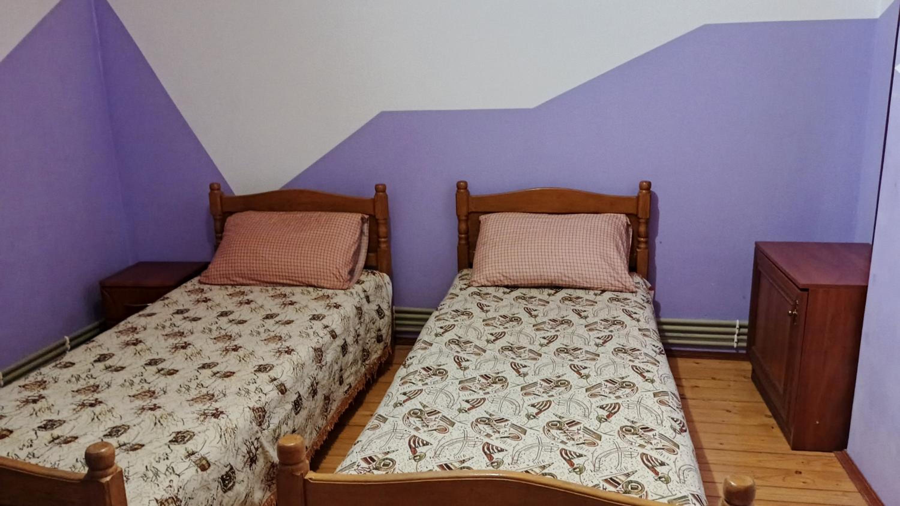 Twin Room with Mountain View photo 2