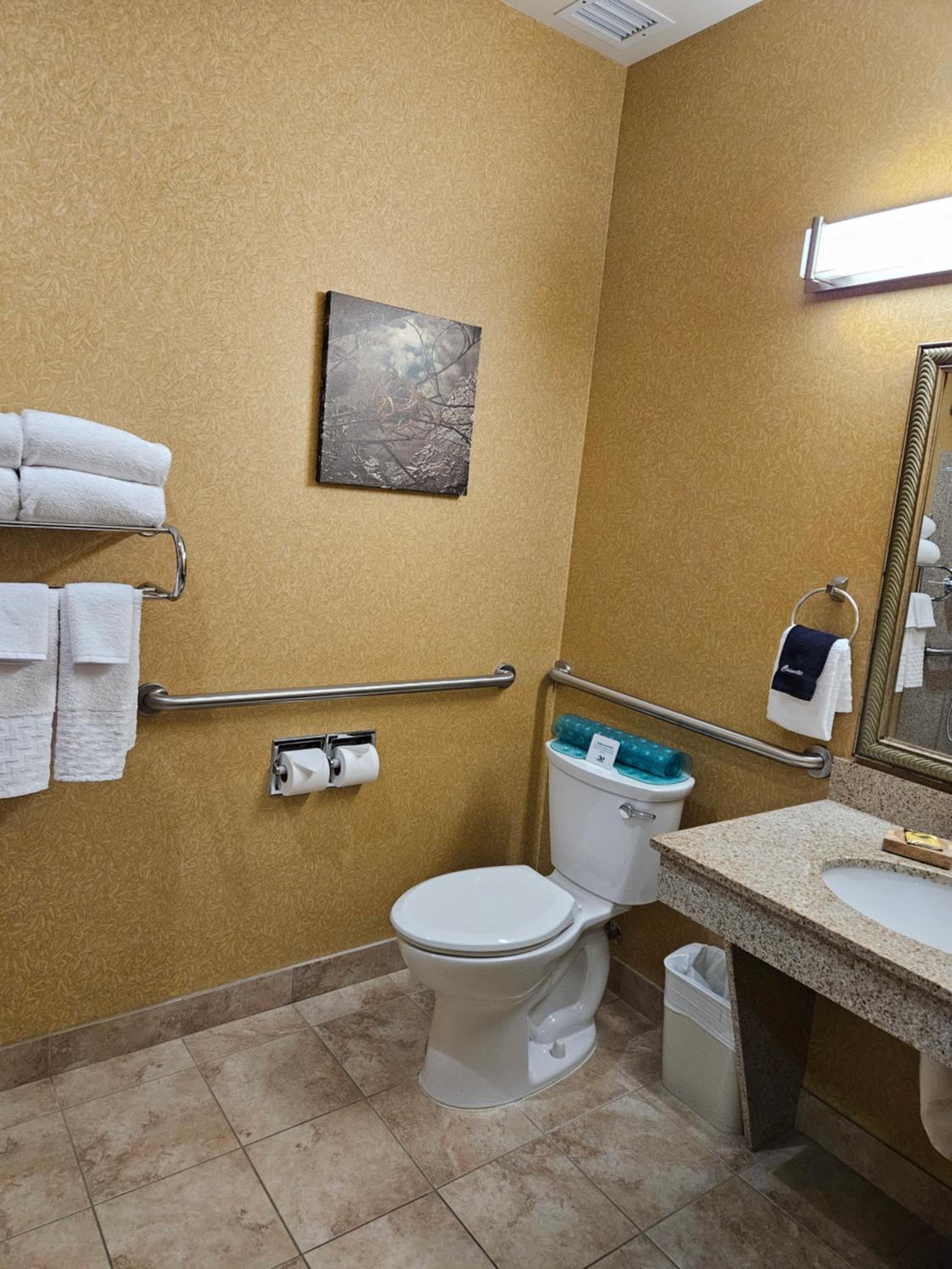 Queen Room with Two Queen Beds and Mobility Accessible Roll-In Shower - Photo 5