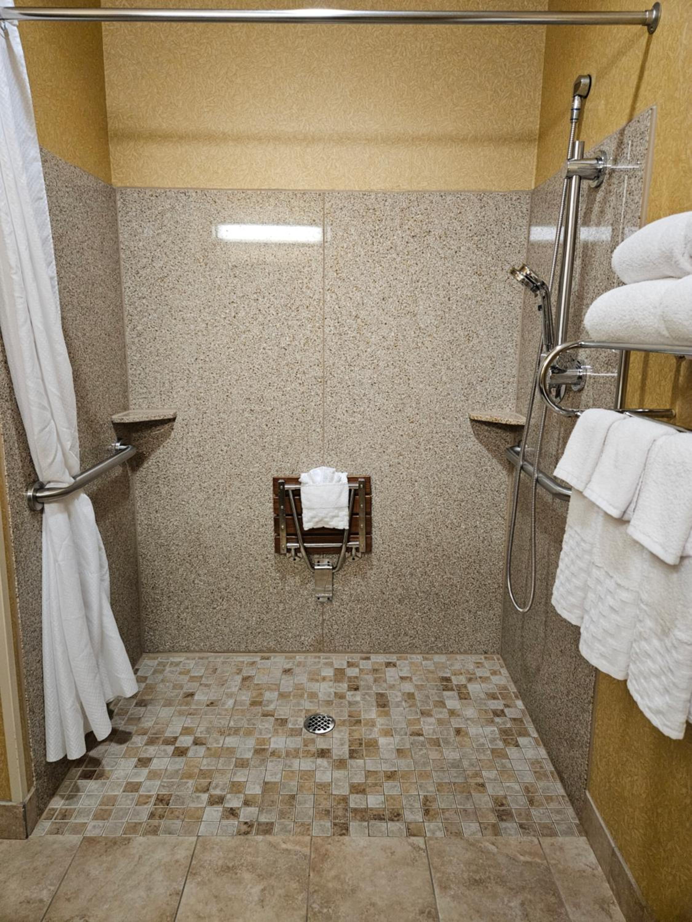 Queen Room with Two Queen Beds and Mobility Accessible Roll-In Shower - Photo 4