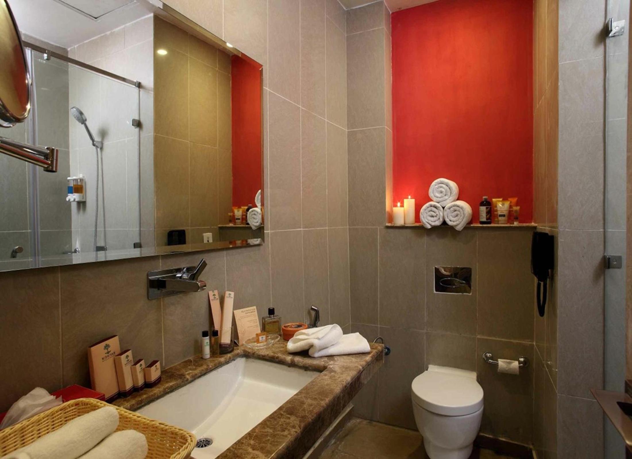 Deluxe Double or Twin Room photo 2