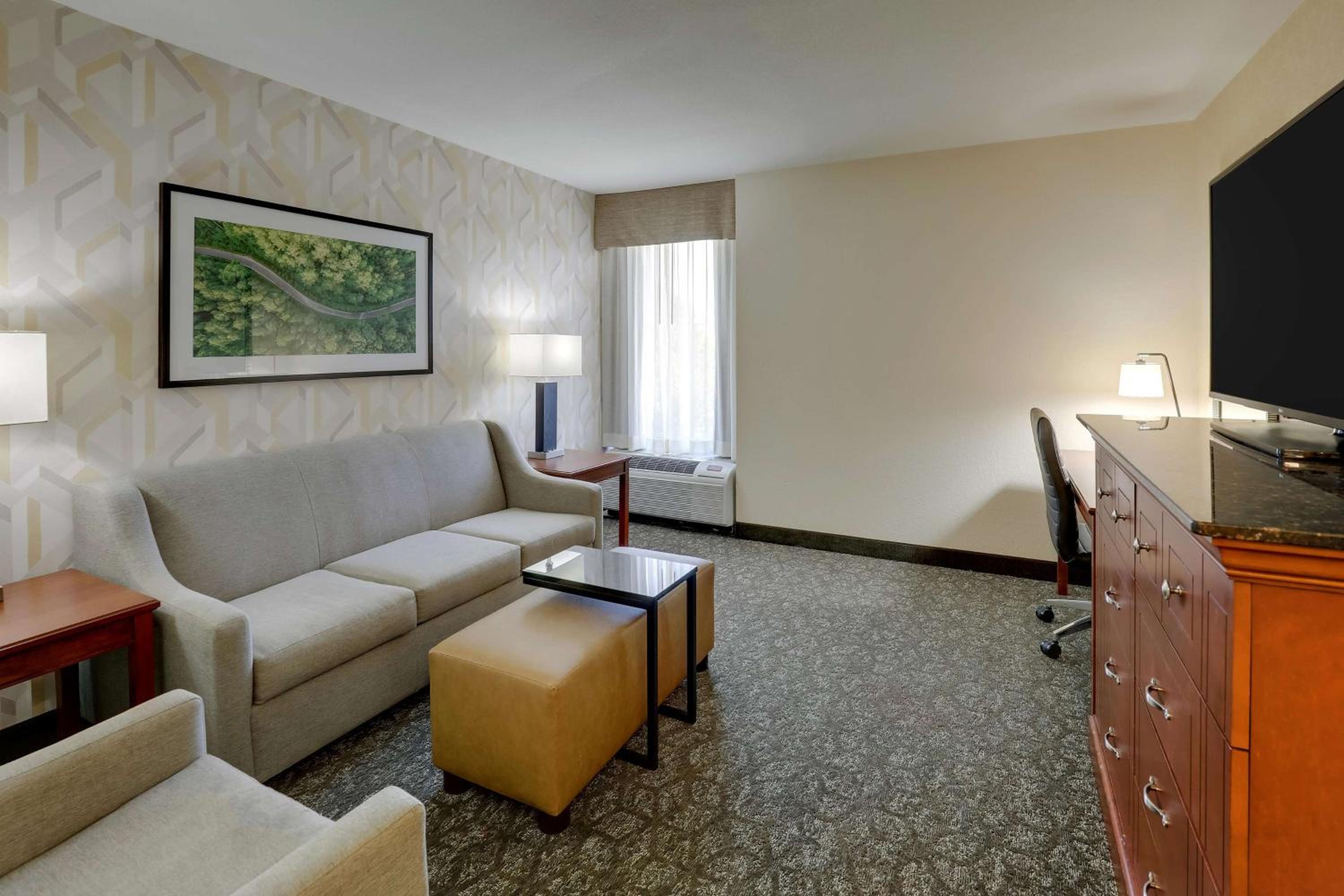 King Suite with Sofa Bed - Photo 4
