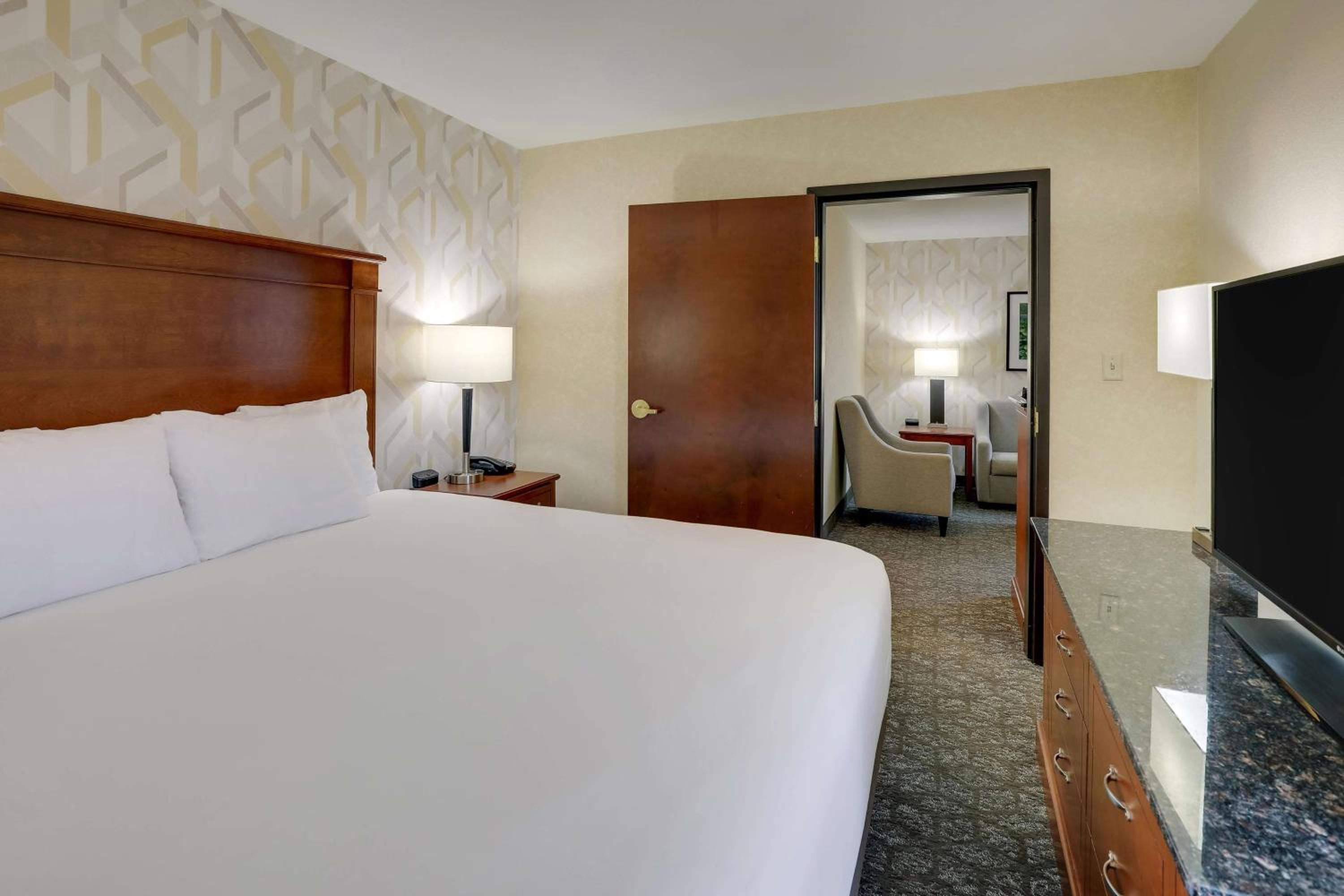 King Suite with Sofa Bed - Photo 1